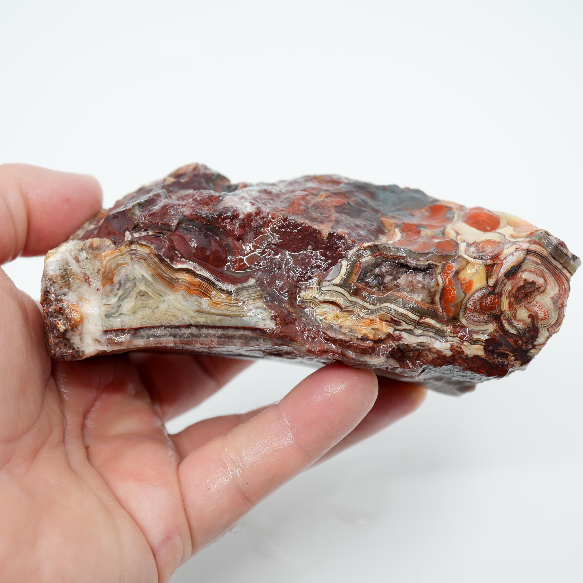 Laguna Lace Agate Endcut - Red White Green Lace with Tubes