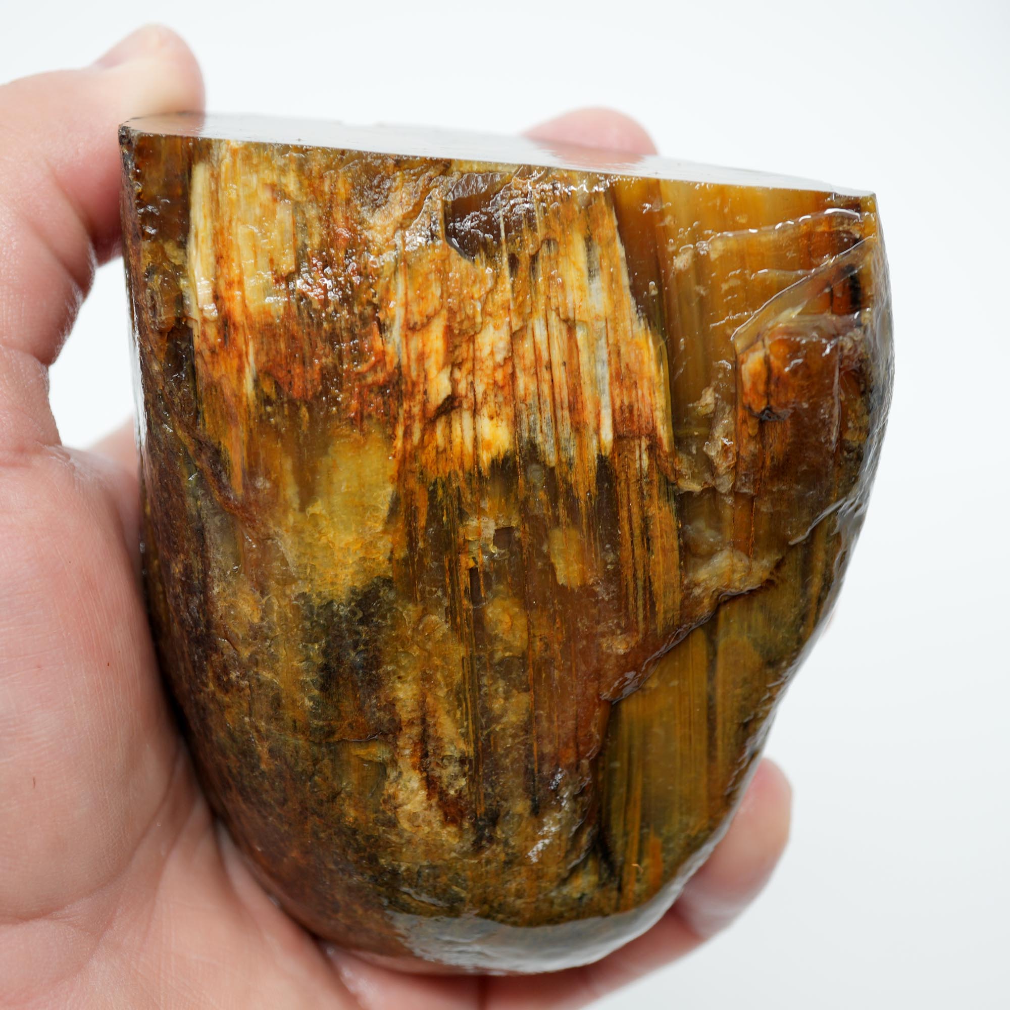 Mystery Petrified Wood Cut and Proven - Woodgrain Water Worn