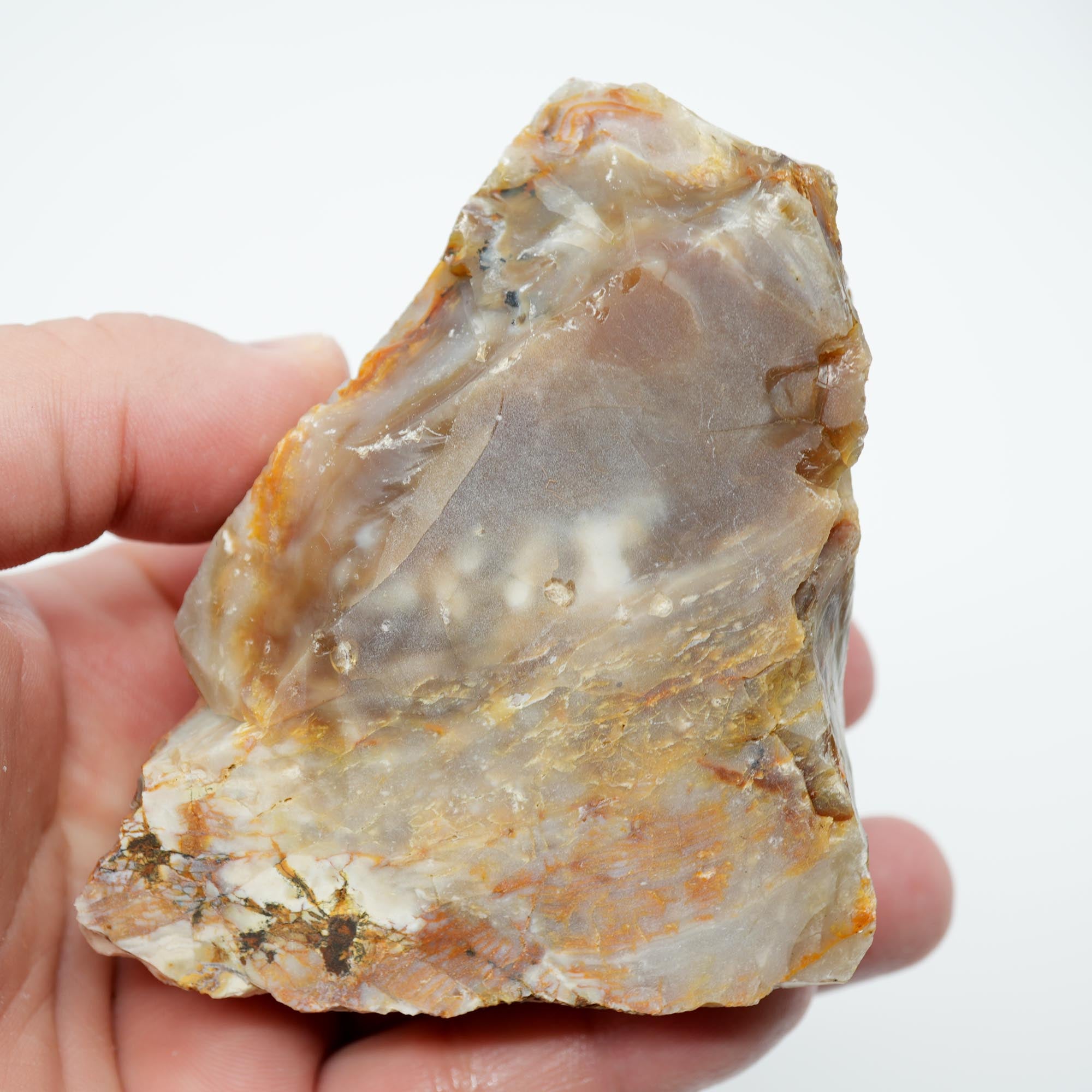 Mystery Opalized Wood Endcut - Gemmy Pattern Old Stock