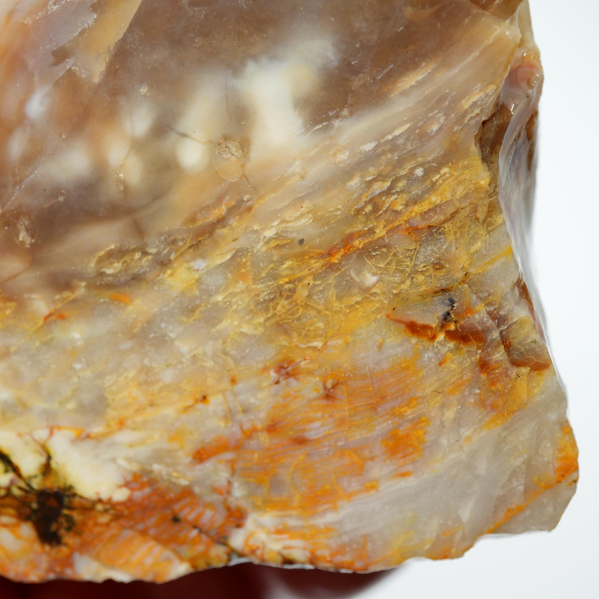 Mystery Opalized Wood Endcut - Gemmy Pattern Old Stock