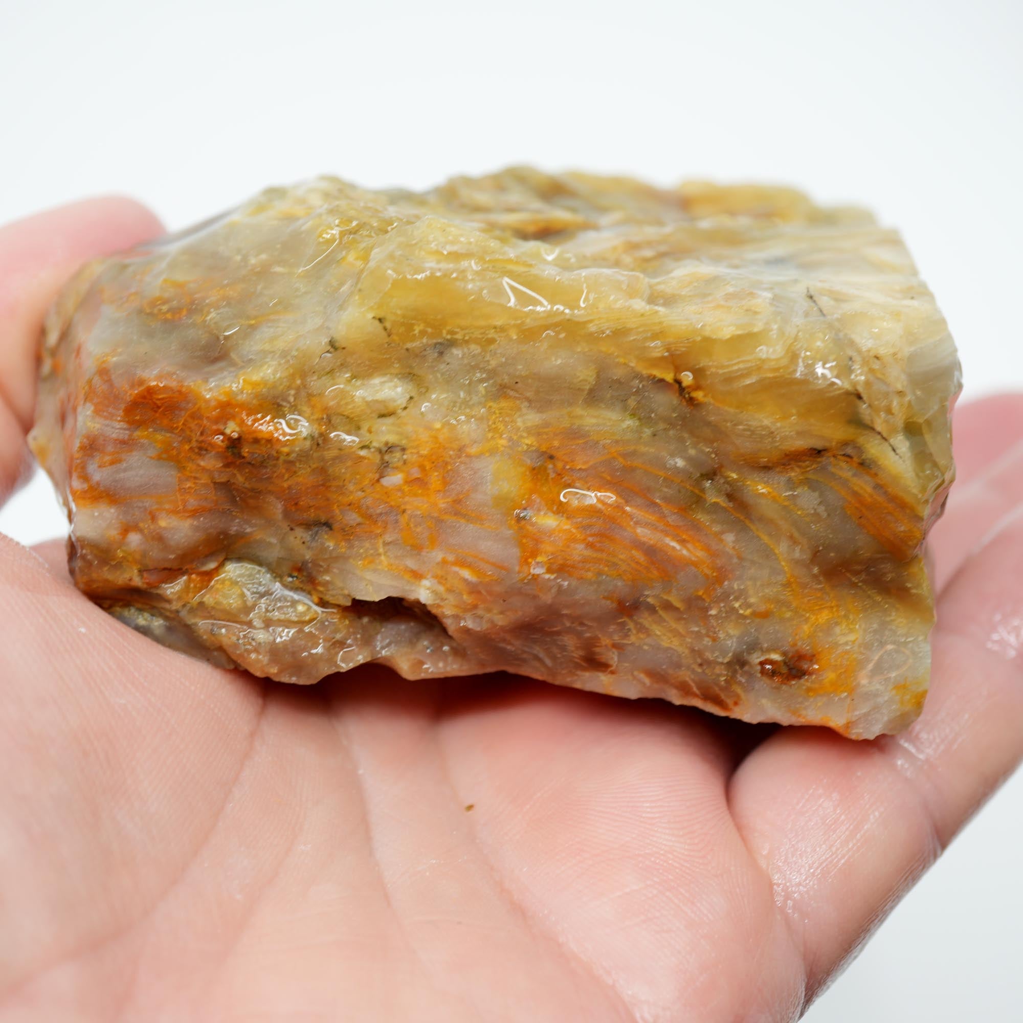 Mystery Opalized Wood Endcut - Gemmy Pattern Old Stock