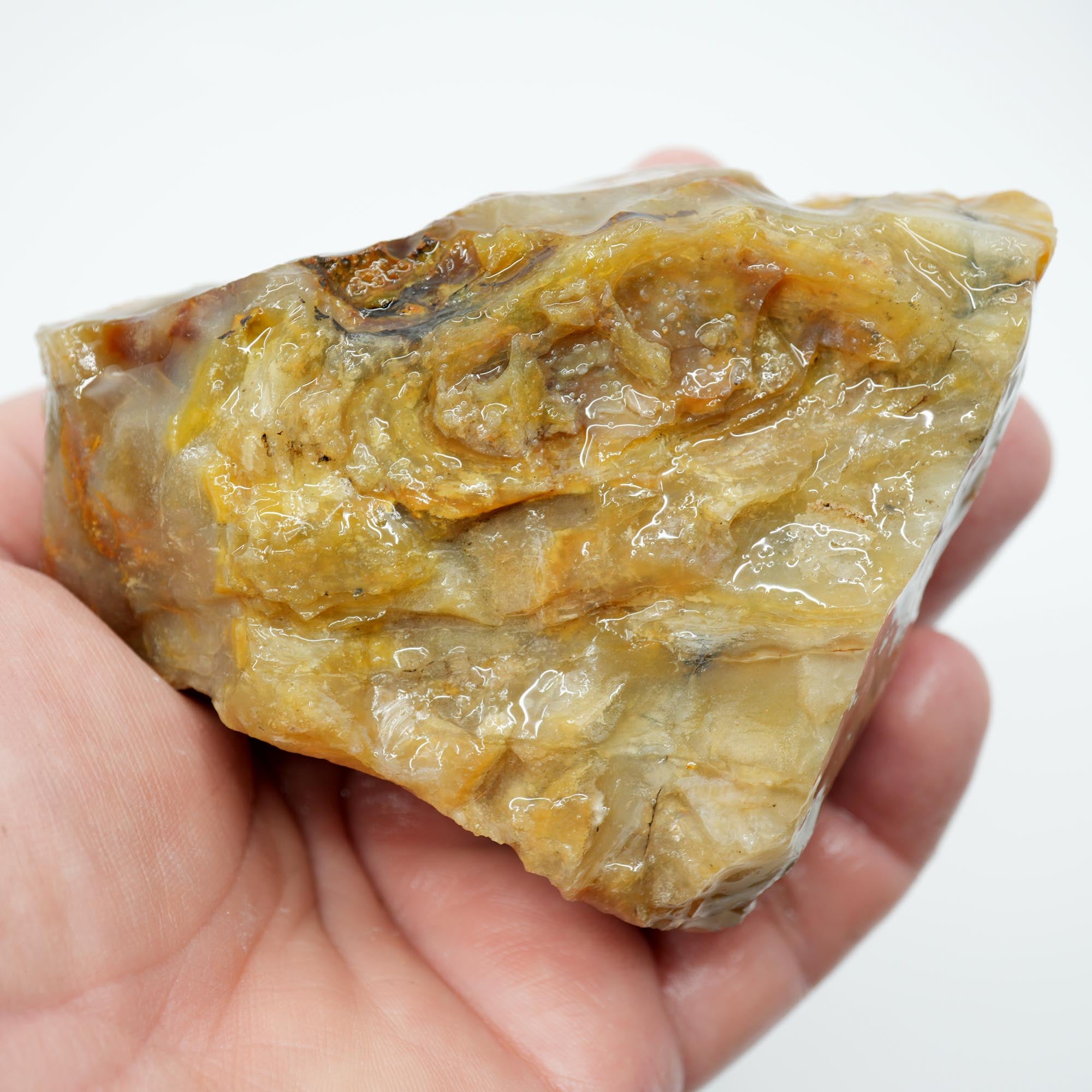 Mystery Opalized Wood Endcut - Gemmy Pattern Old Stock