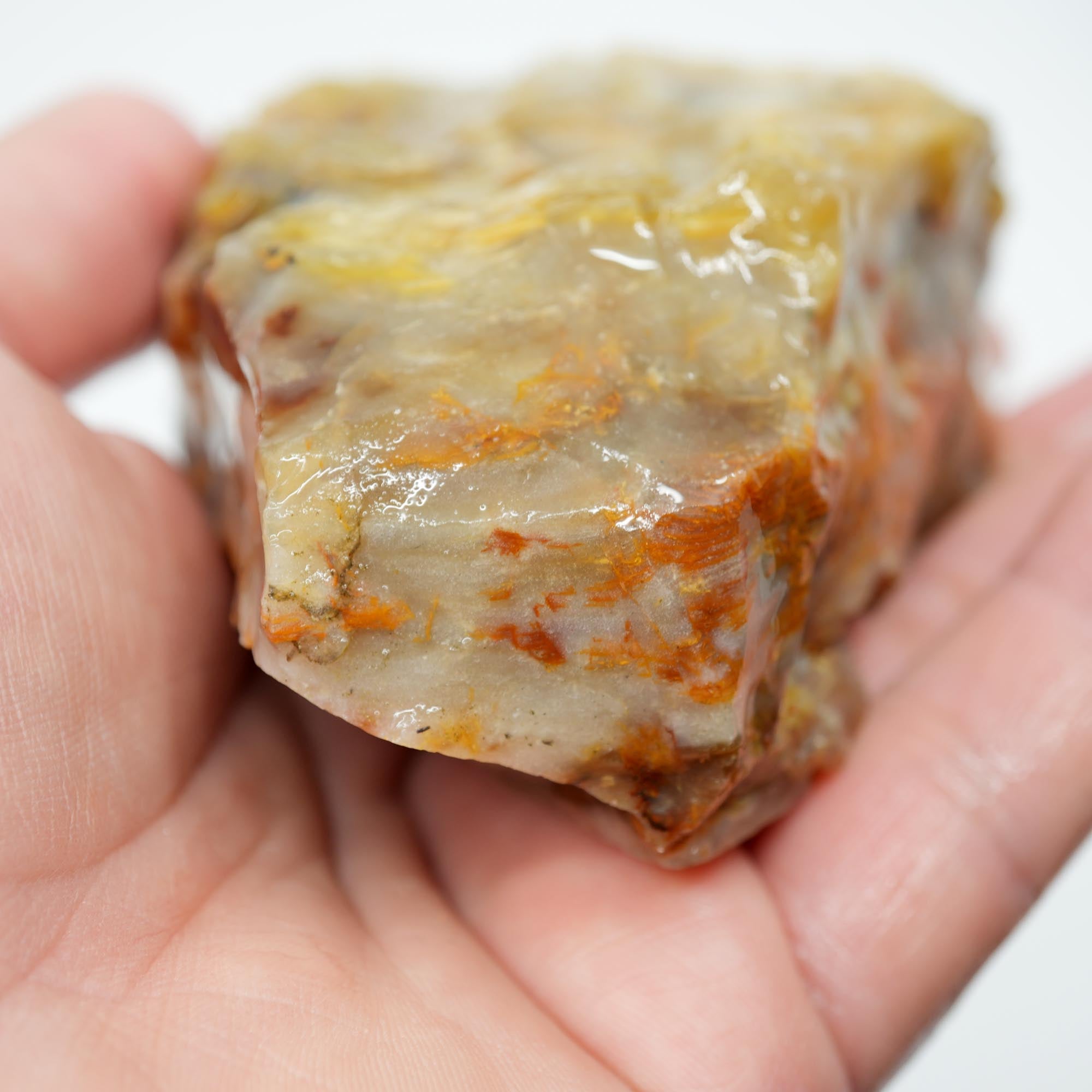 Mystery Opalized Wood Endcut - Gemmy Pattern Old Stock