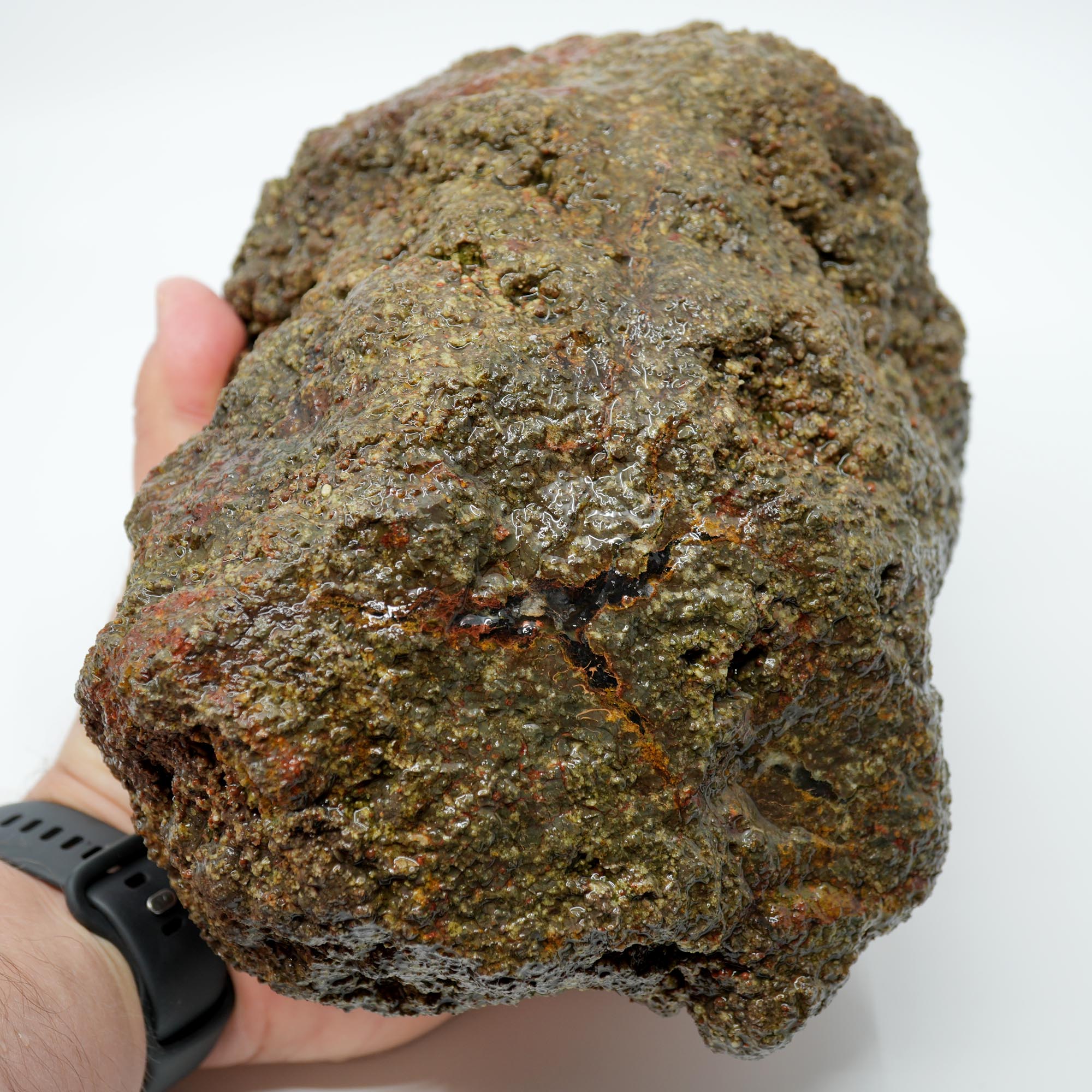 Large Lucky Strike Thunderegg Rough - Huge Meaty Star Moss Potential