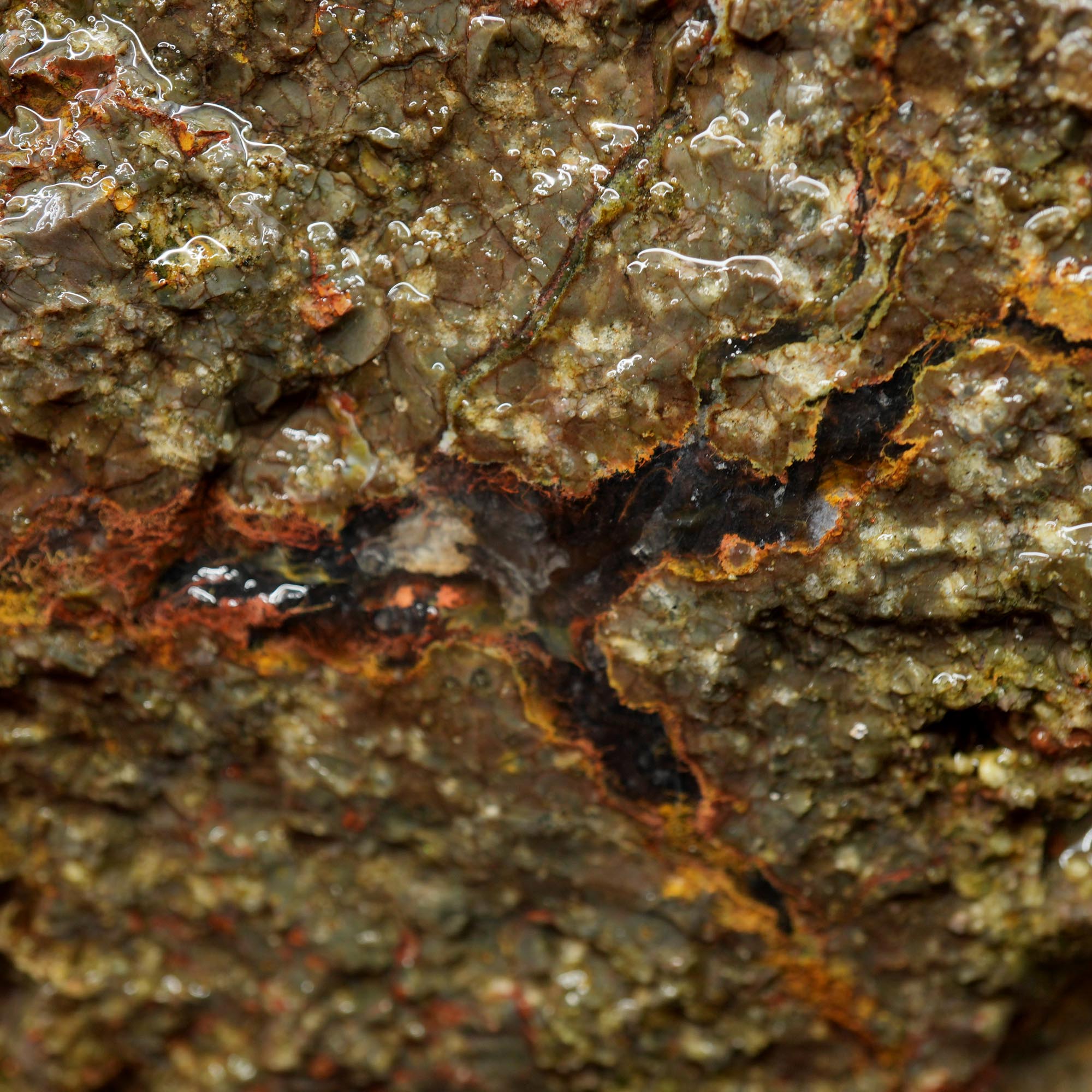 Large Lucky Strike Thunderegg Rough - Huge Meaty Star Moss Potential