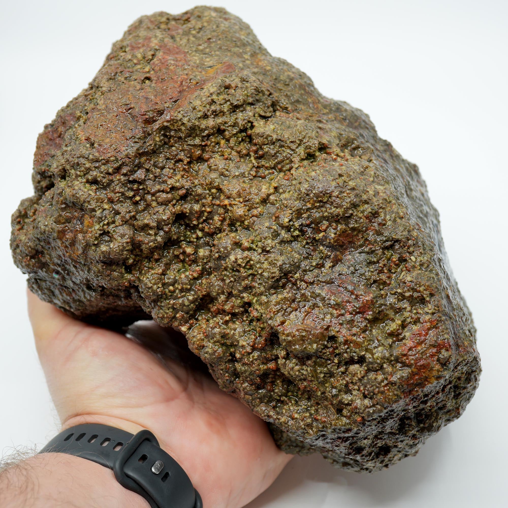 Large Lucky Strike Thunderegg Rough - Huge Meaty Star Moss Potential