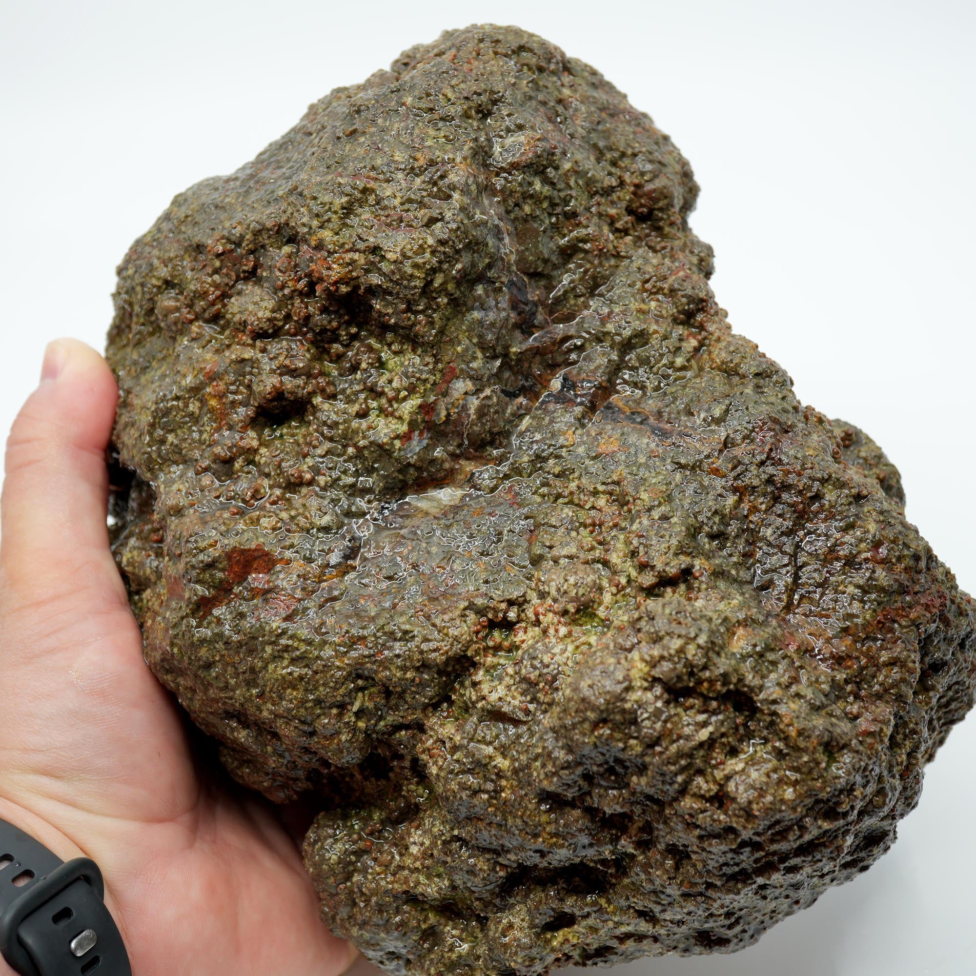 Large Lucky Strike Thunderegg Rough - Huge Meaty Star Moss Potential