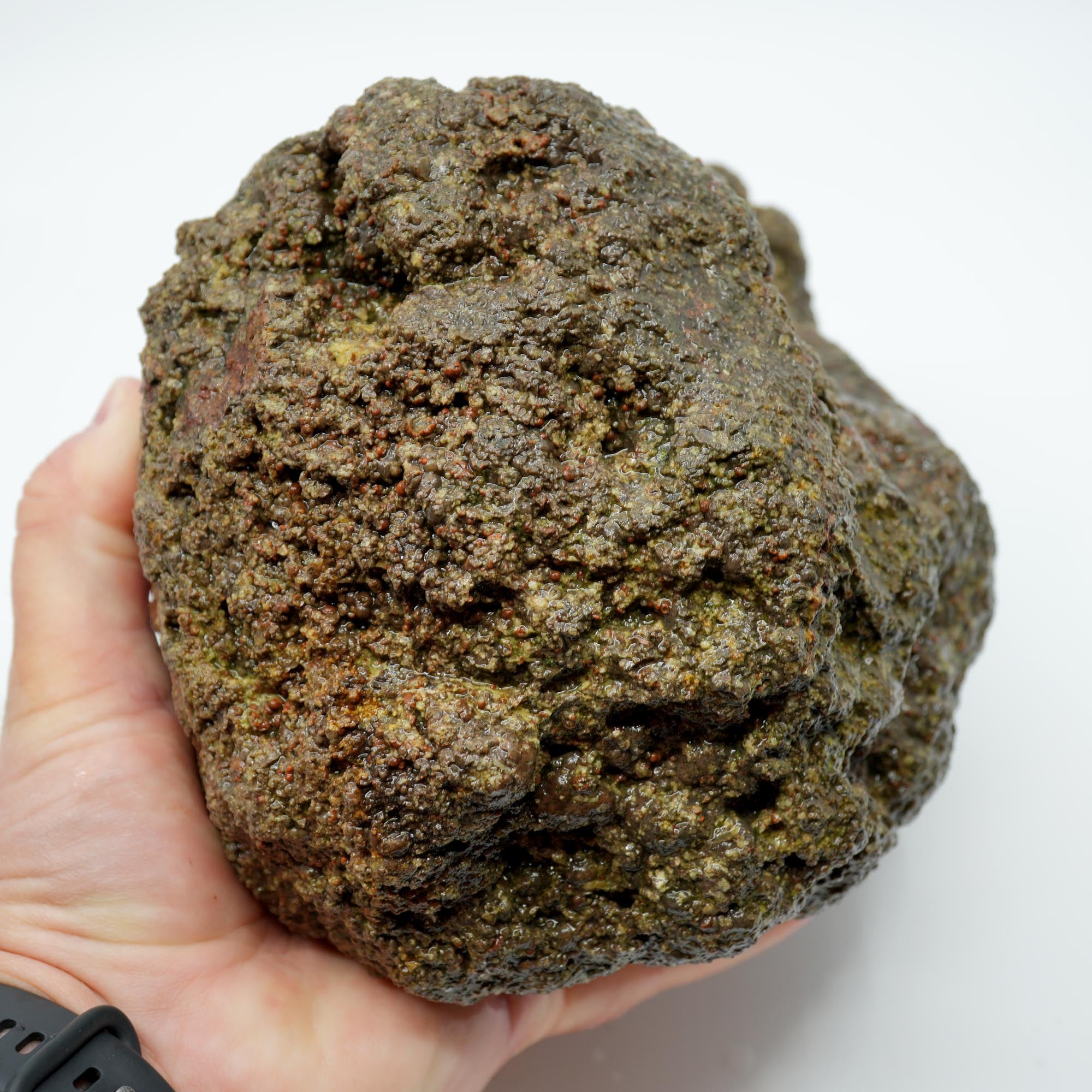 Large Lucky Strike Thunderegg Rough - Huge Meaty Star Moss Potential