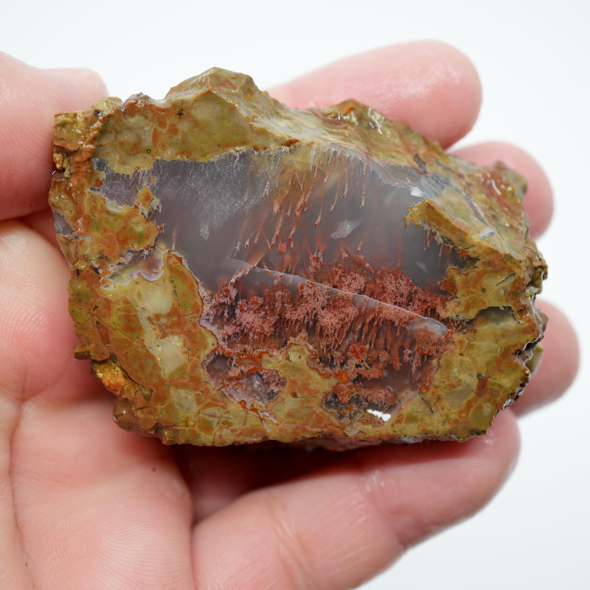 Priday Moss Bed Thunderegg Endcut - Pink Moss Clear Agate