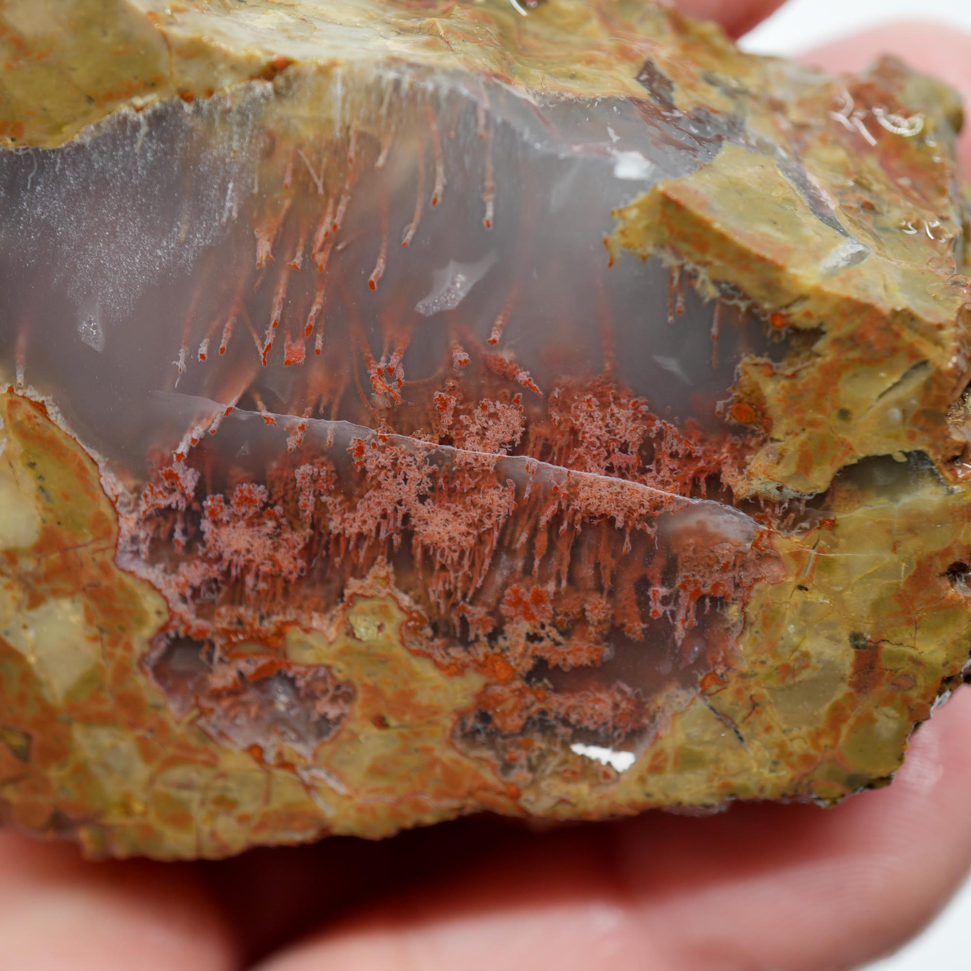 Priday Moss Bed Thunderegg Endcut - Pink Moss Clear Agate