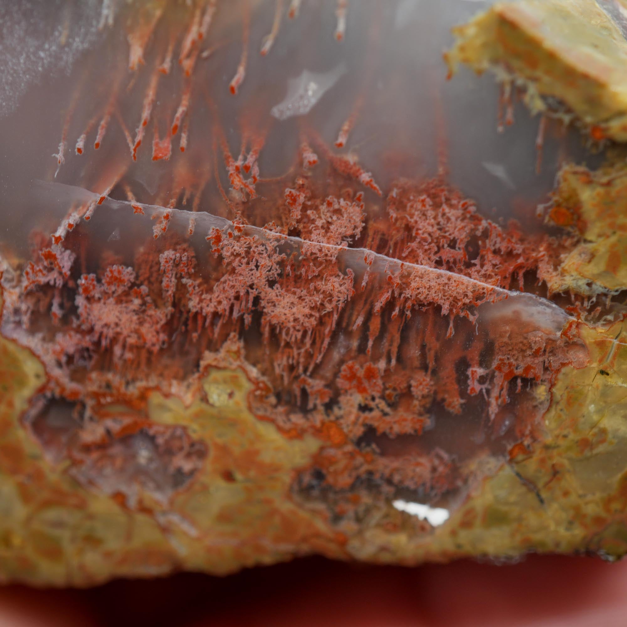 Priday Moss Bed Thunderegg Endcut - Pink Moss Clear Agate