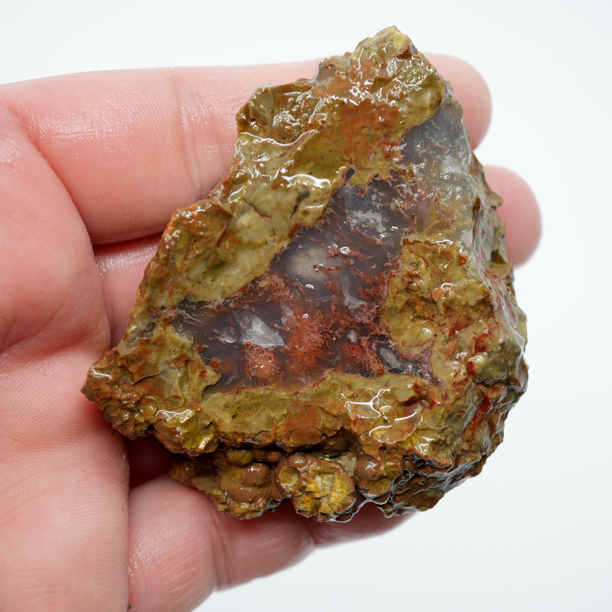 Priday Moss Bed Thunderegg Endcut - Pink Moss Clear Agate