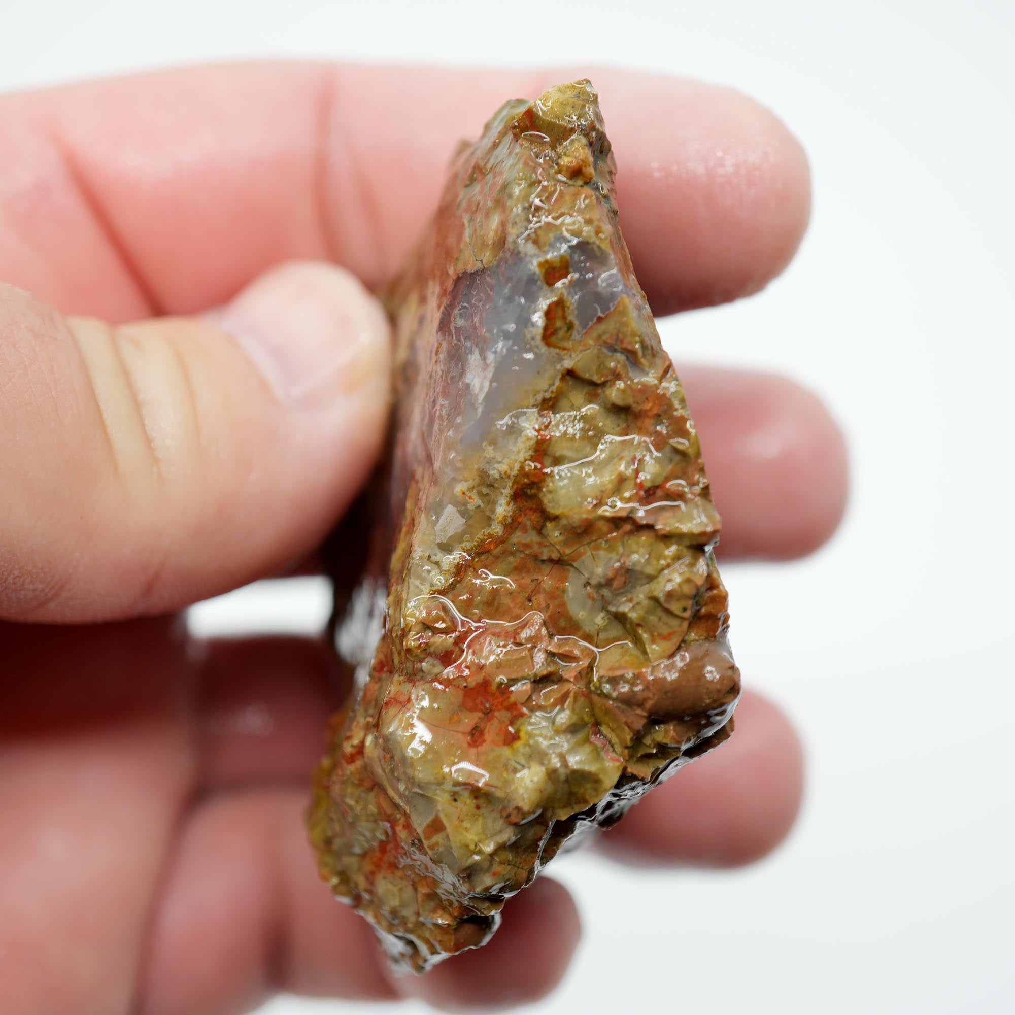 Priday Moss Bed Thunderegg Endcut - Pink Moss Clear Agate
