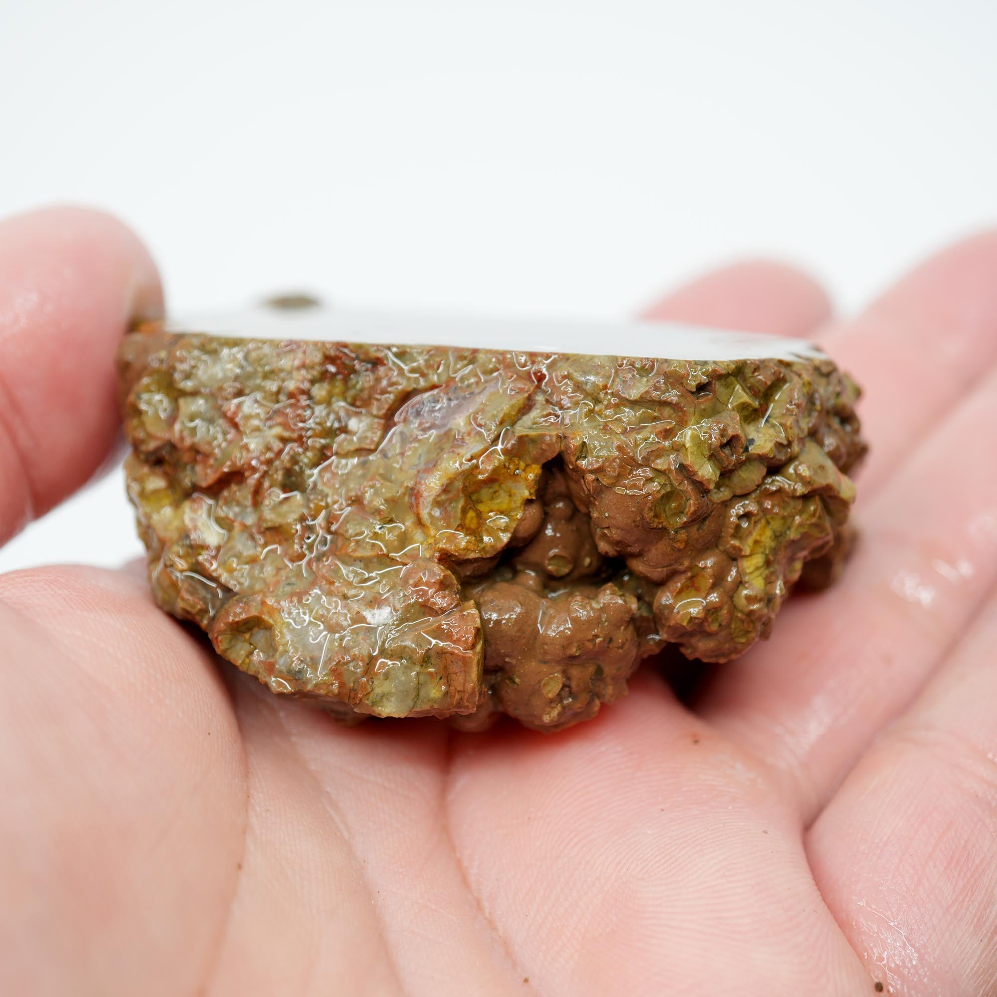 Priday Moss Bed Thunderegg Endcut - Pink Moss Clear Agate
