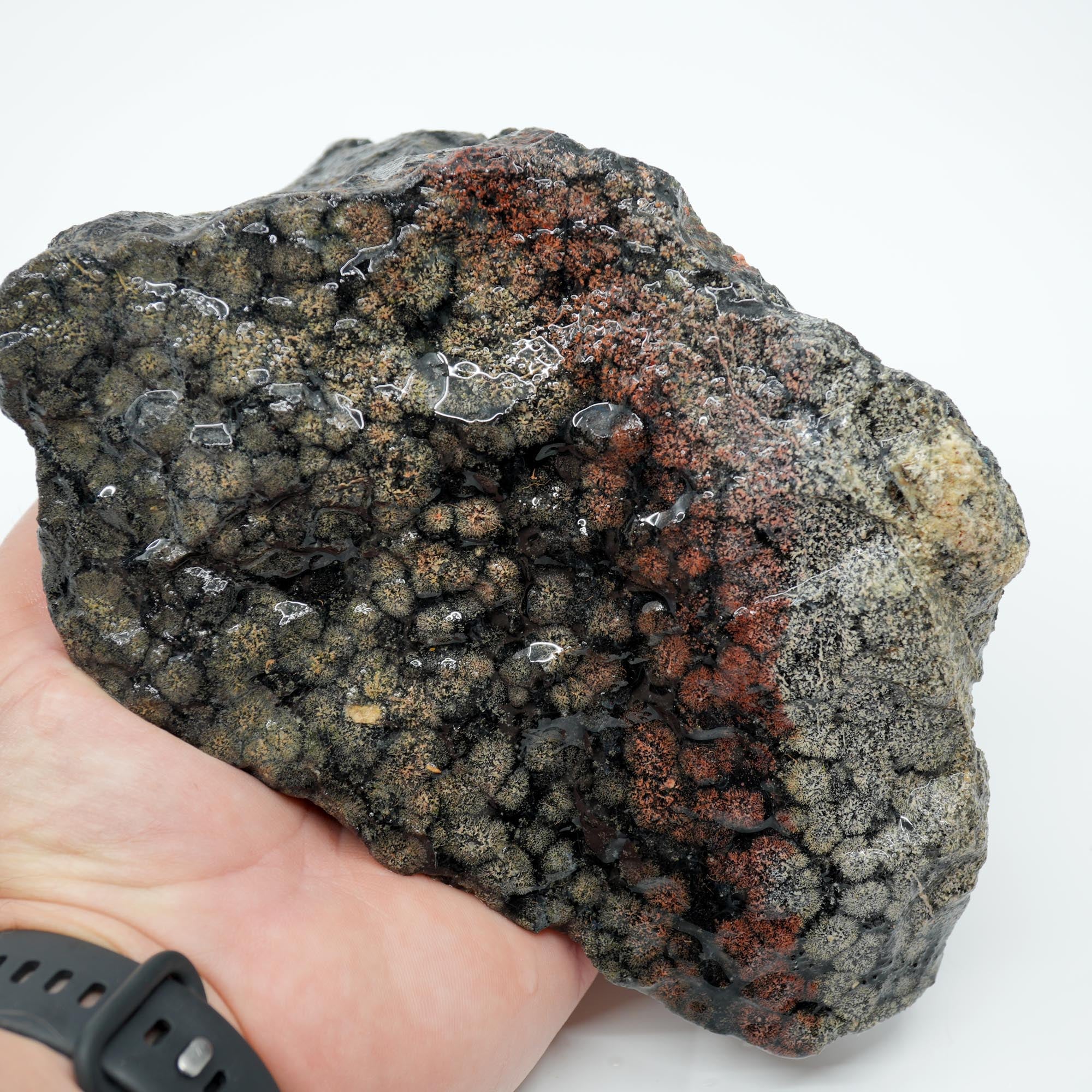 Flower Obsidian Rough - Flower Pattern Red Streak High Grade