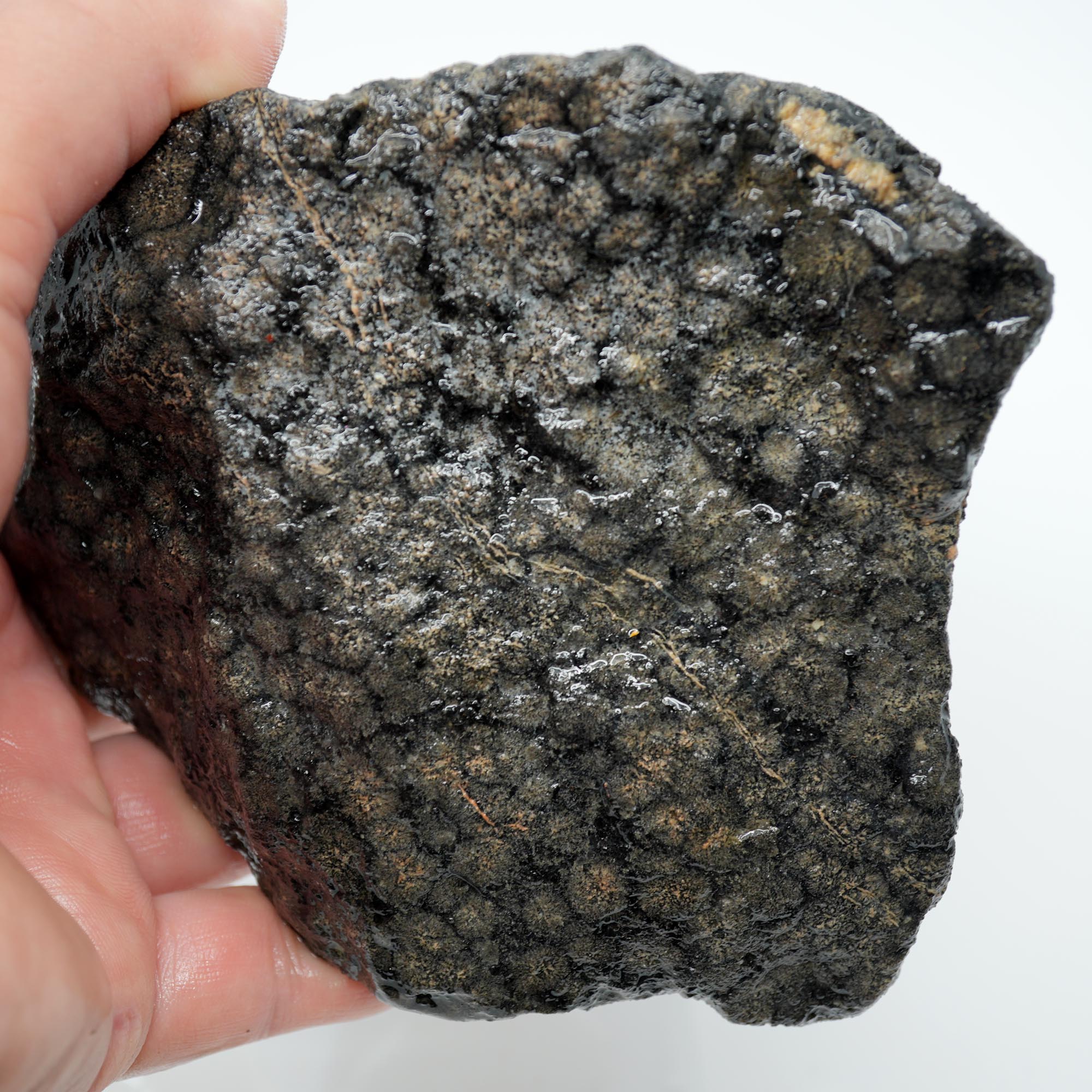 Flower Obsidian Rough - Flower Pattern Red Streak High Grade