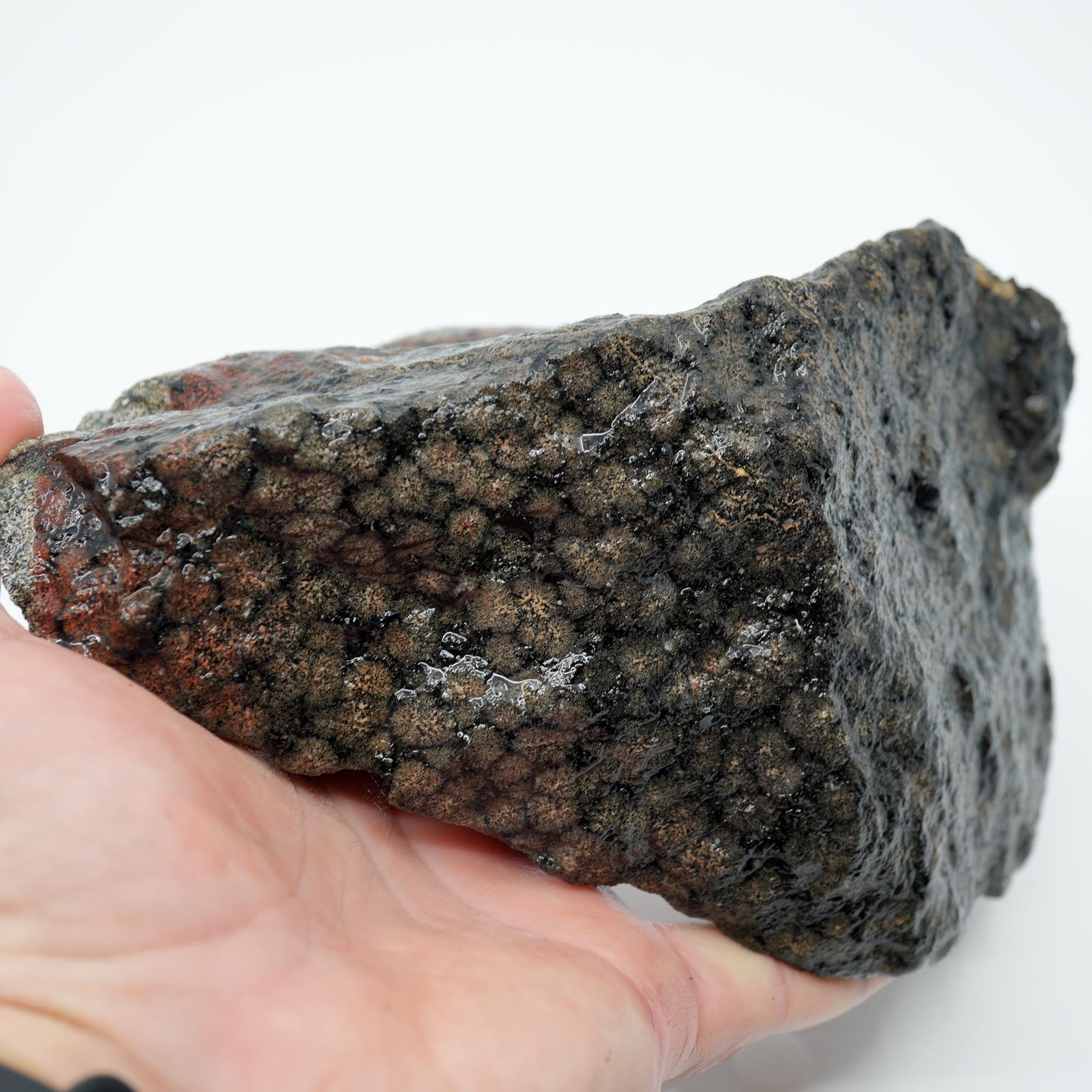 Flower Obsidian Rough - Flower Pattern Red Streak High Grade