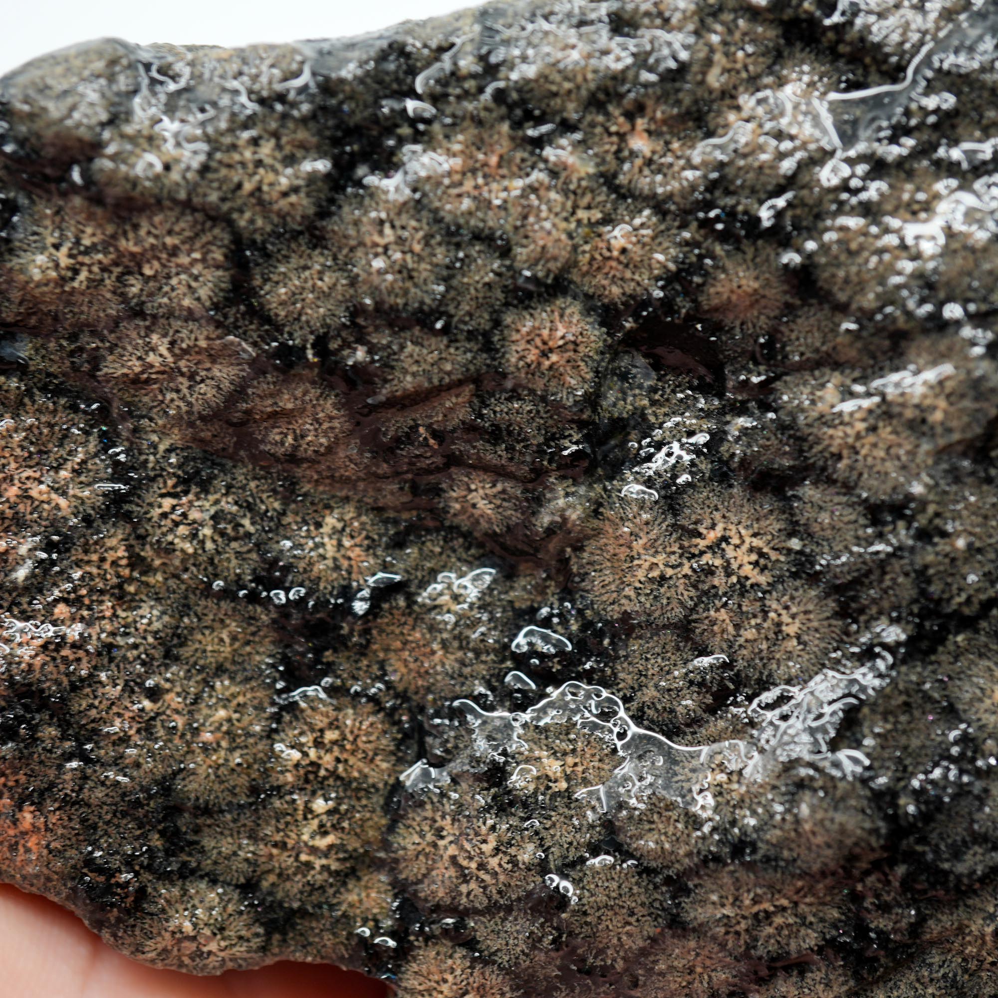 Flower Obsidian Rough - Flower Pattern Red Streak High Grade