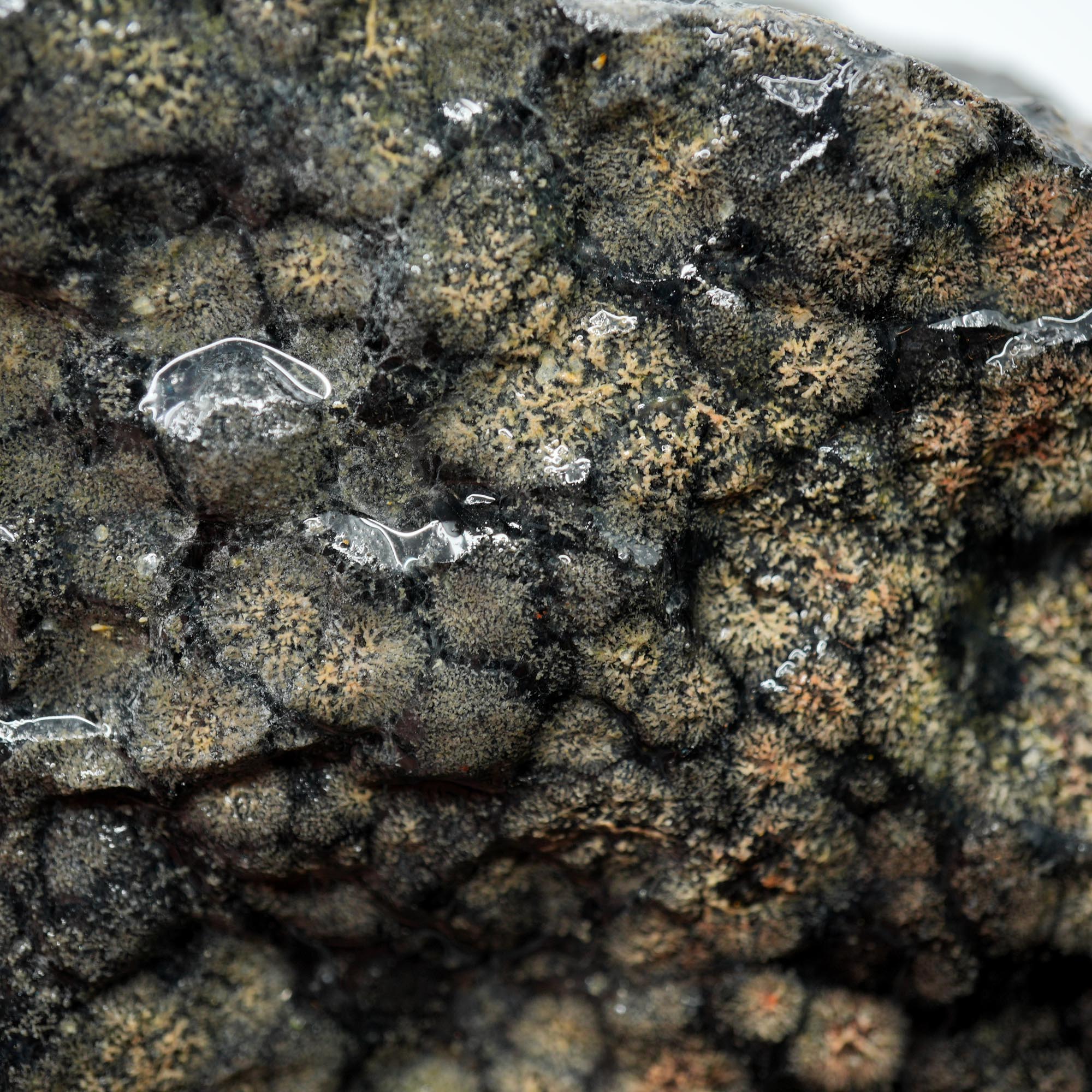 Flower Obsidian Rough - Flower Pattern Red Streak High Grade