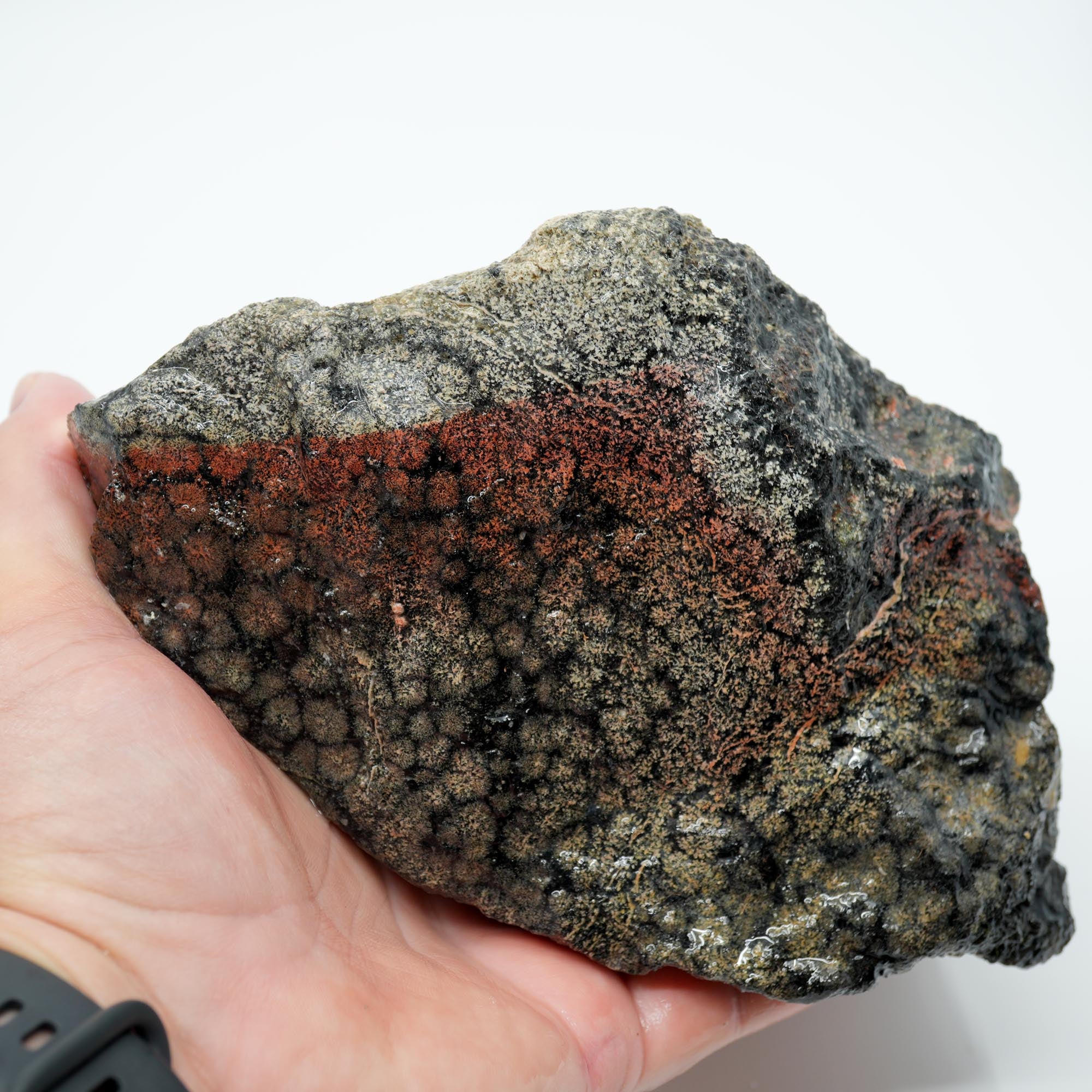 Flower Obsidian Rough - Flower Pattern Red Streak High Grade