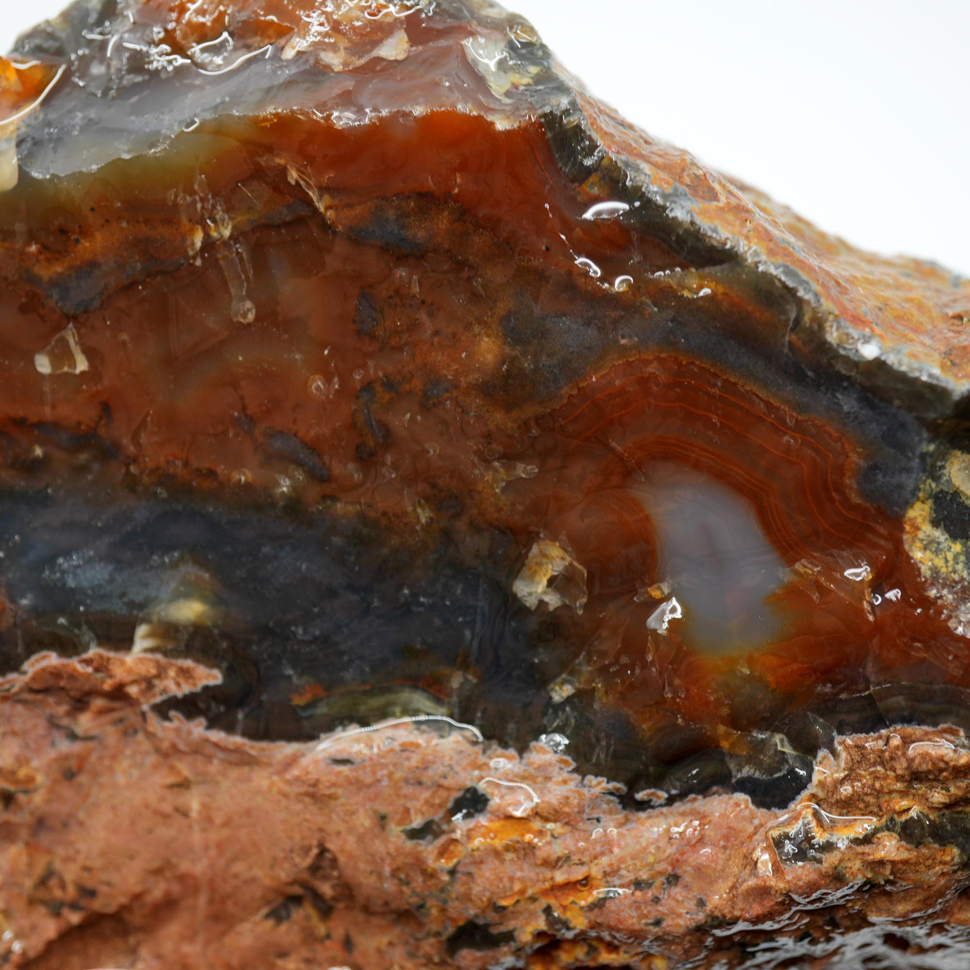 Brazilian Agate Rough - Deep Blue Carnelian Meaty Old Stock