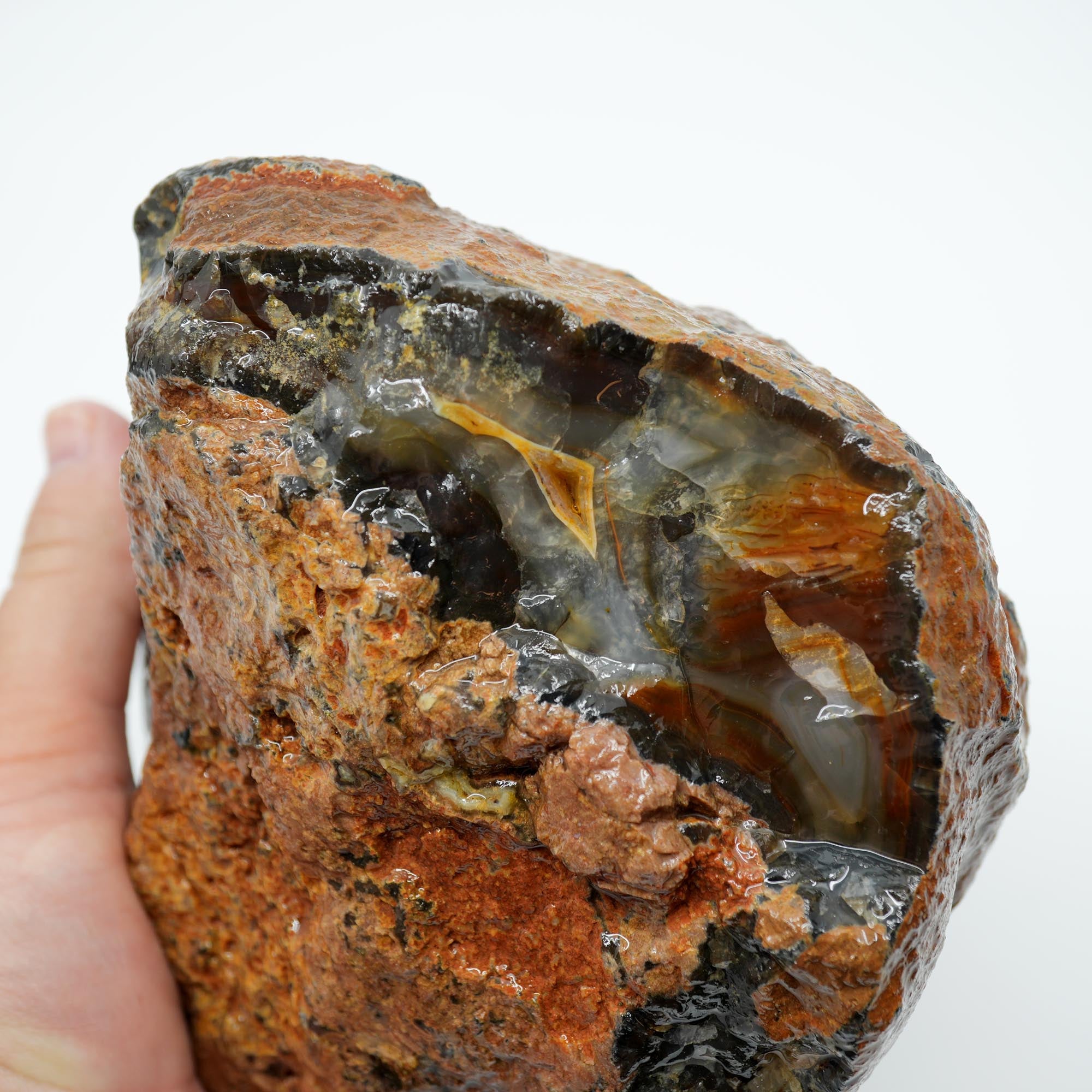 Brazilian Agate Rough - Deep Blue Carnelian Meaty Old Stock