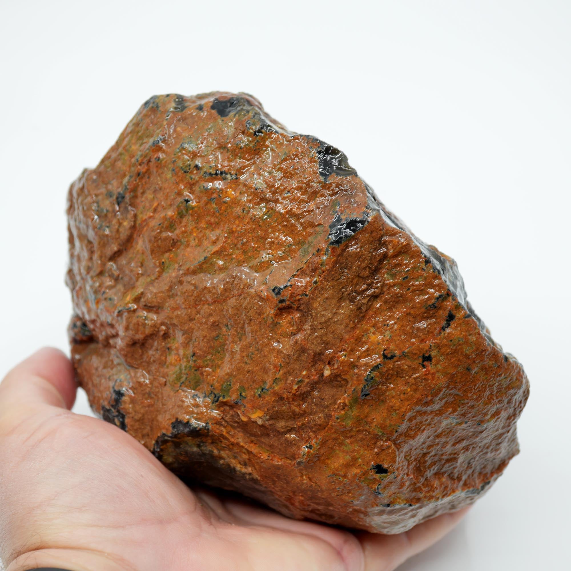 Brazilian Agate Rough - Deep Blue Carnelian Meaty Old Stock