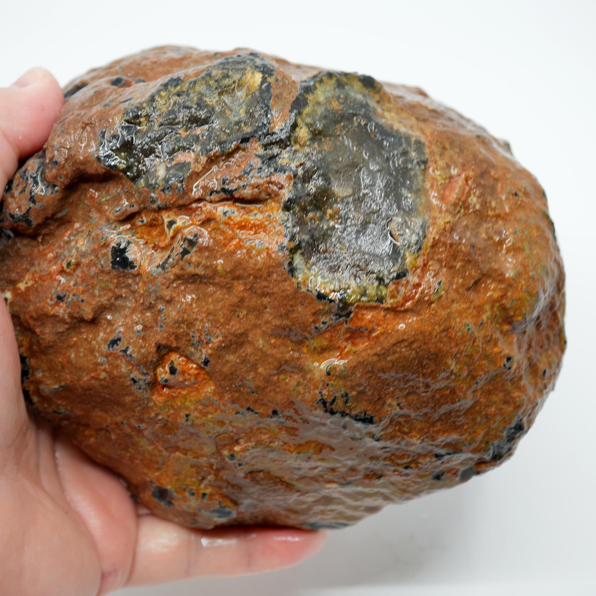 Brazilian Agate Rough - Deep Blue Carnelian Meaty Old Stock