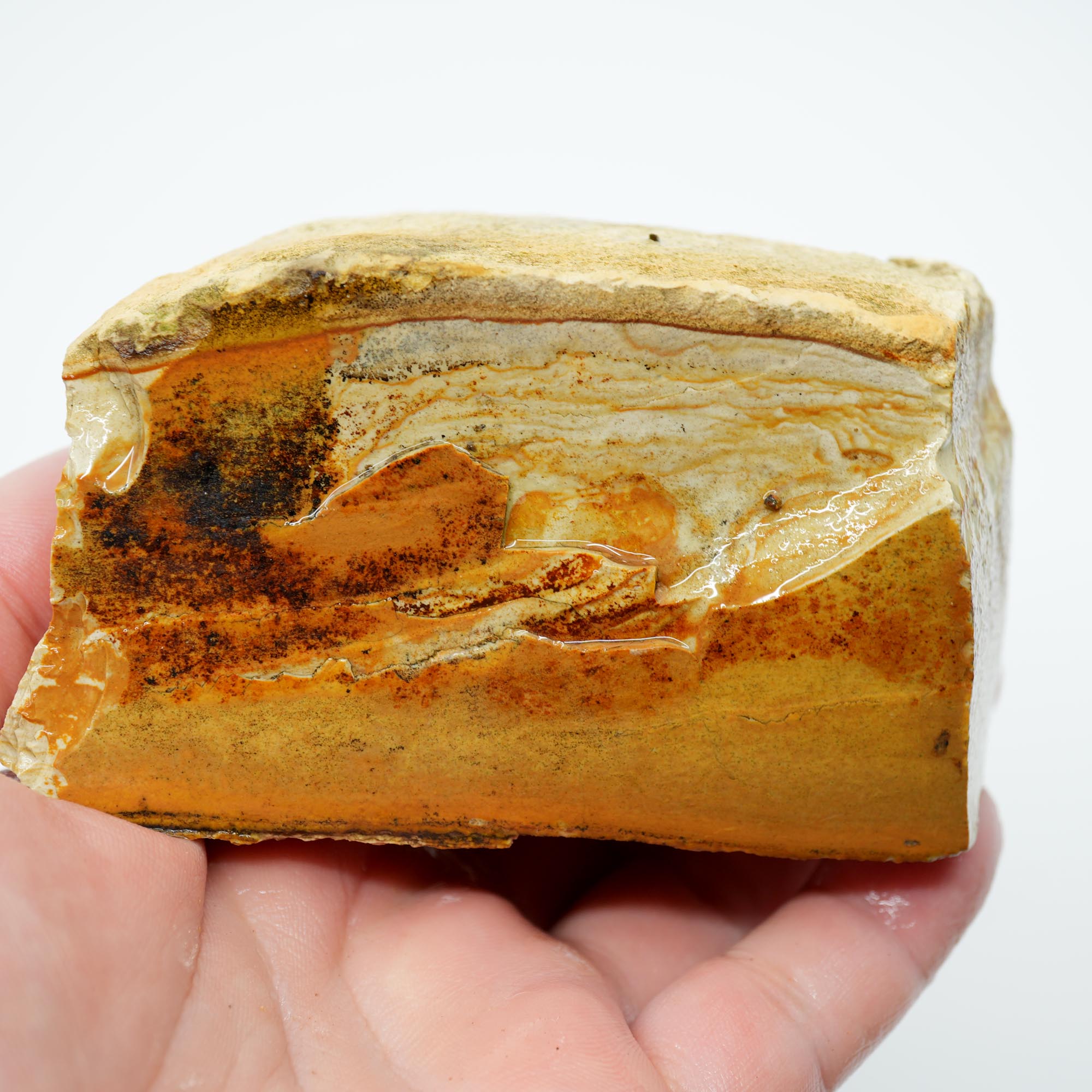 Arroyo Picture Jasper Rough - Rolling Hills Oasis Valley Scene
