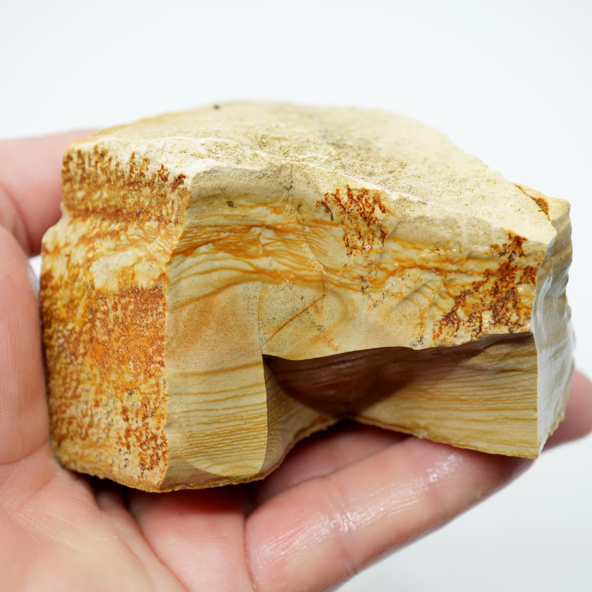 Arroyo Picture Jasper Rough - Rolling Hills Oasis Valley Scene