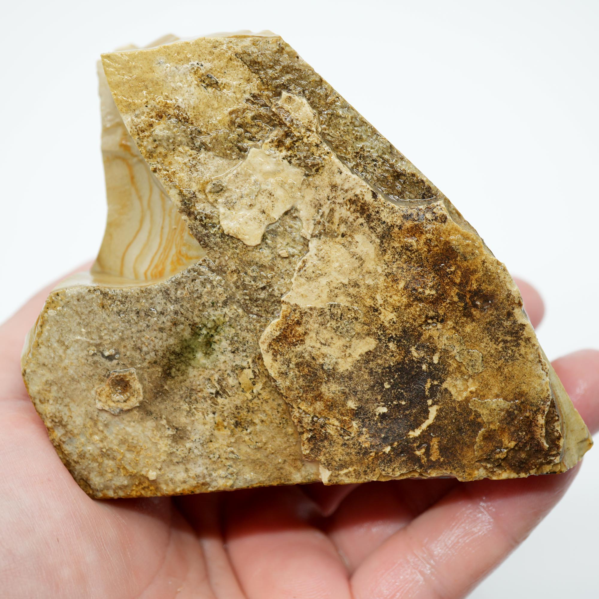 Arroyo Picture Jasper Rough - Rolling Hills Oasis Valley Scene