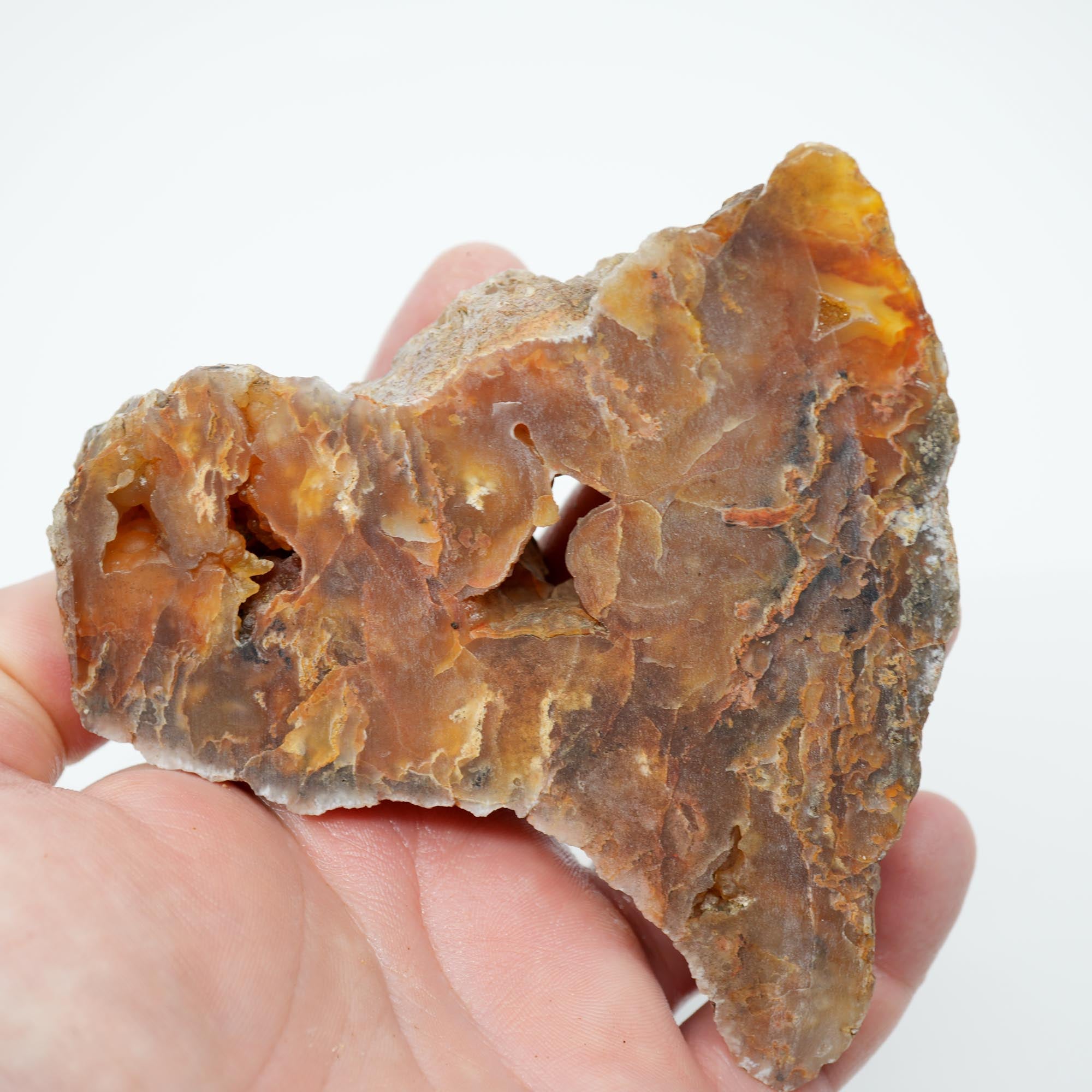 Graveyard Point Plume Agate Endcut - Carnelian Wavy Cloud Plume