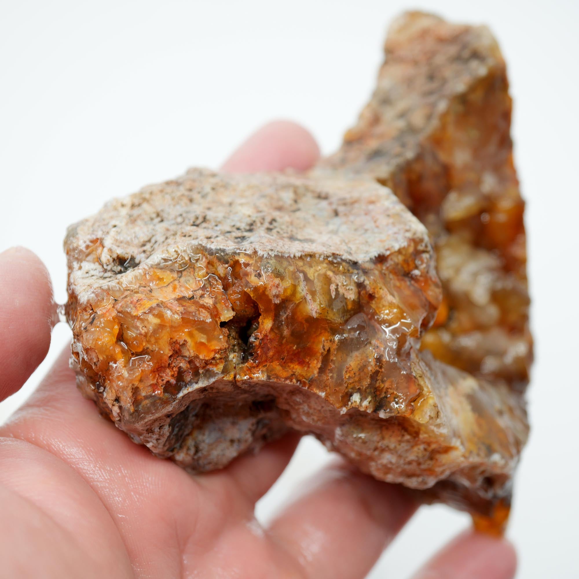 Graveyard Point Plume Agate Endcut - Carnelian Wavy Cloud Plume