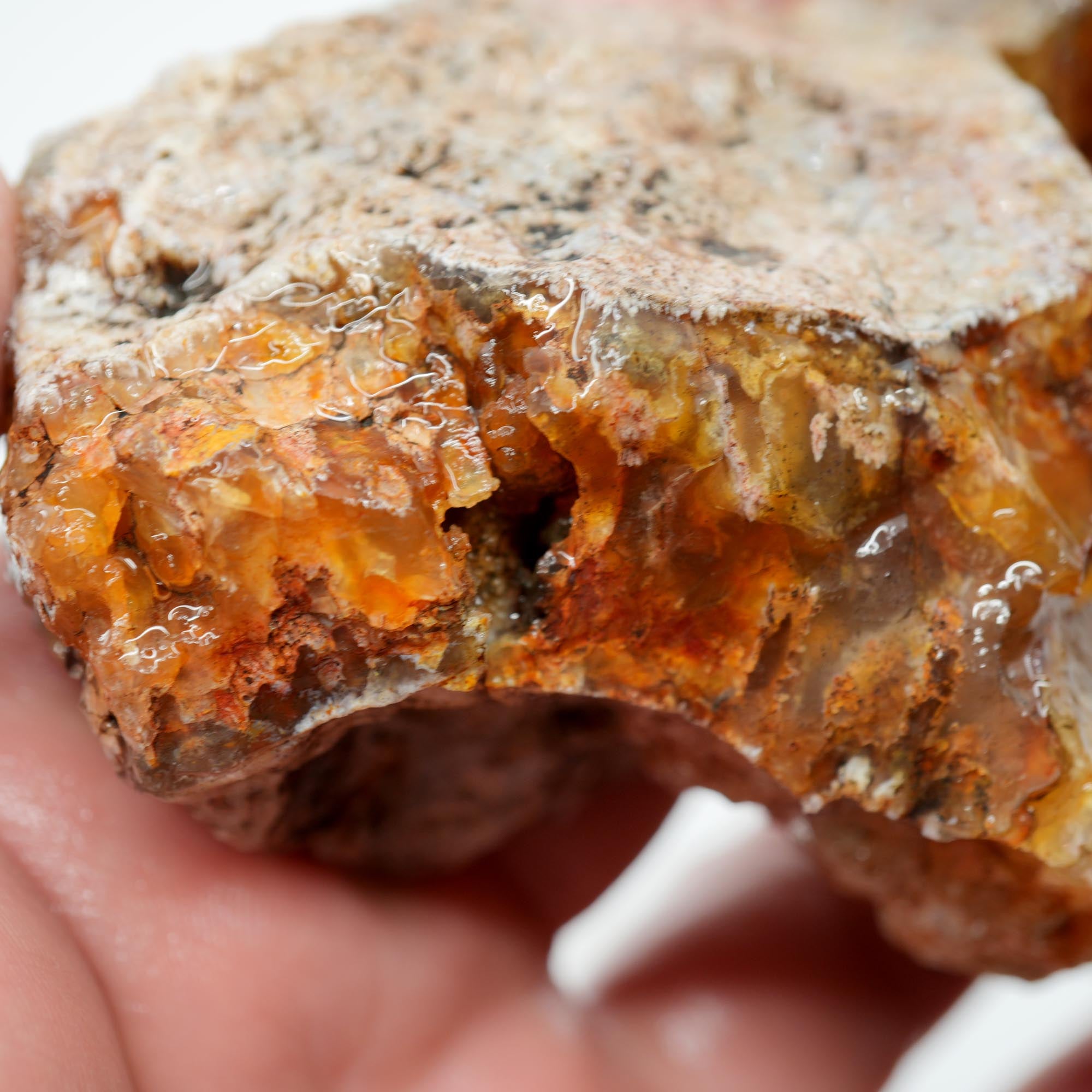 Graveyard Point Plume Agate Endcut - Carnelian Wavy Cloud Plume