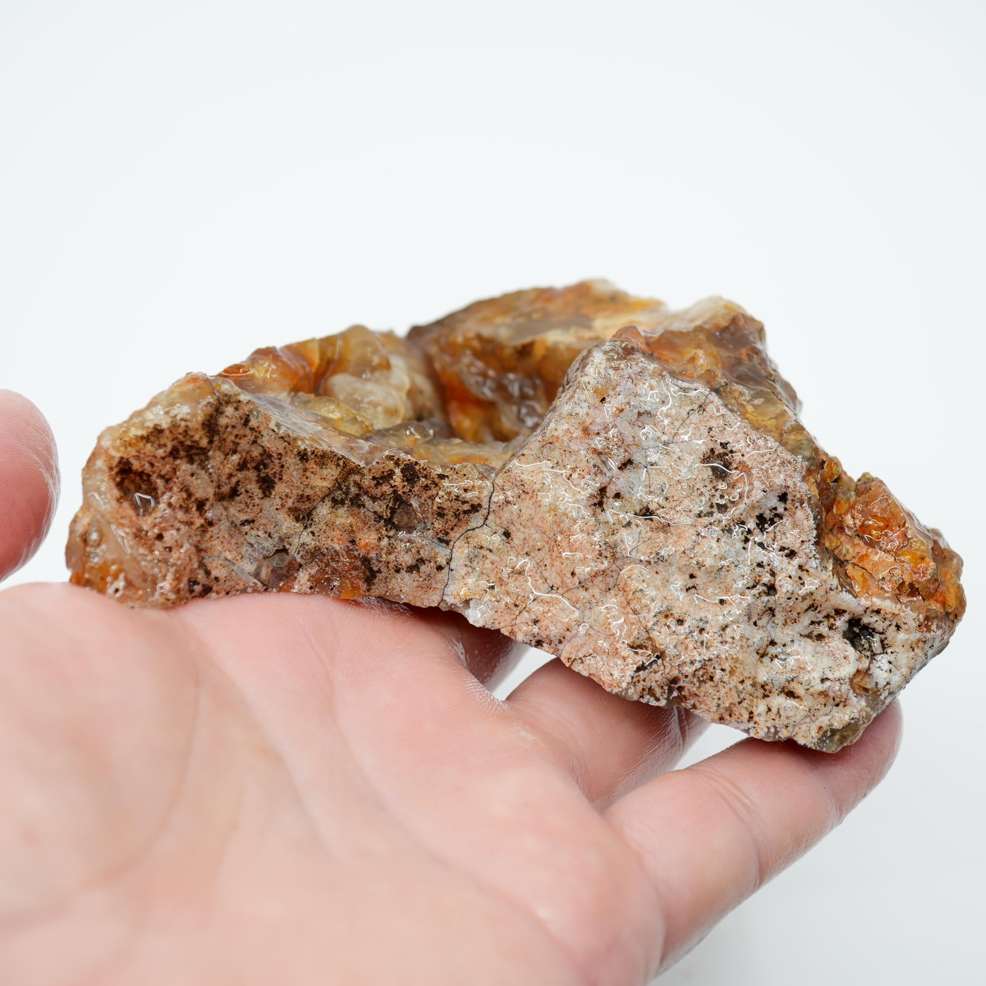 Graveyard Point Plume Agate Endcut - Carnelian Wavy Cloud Plume