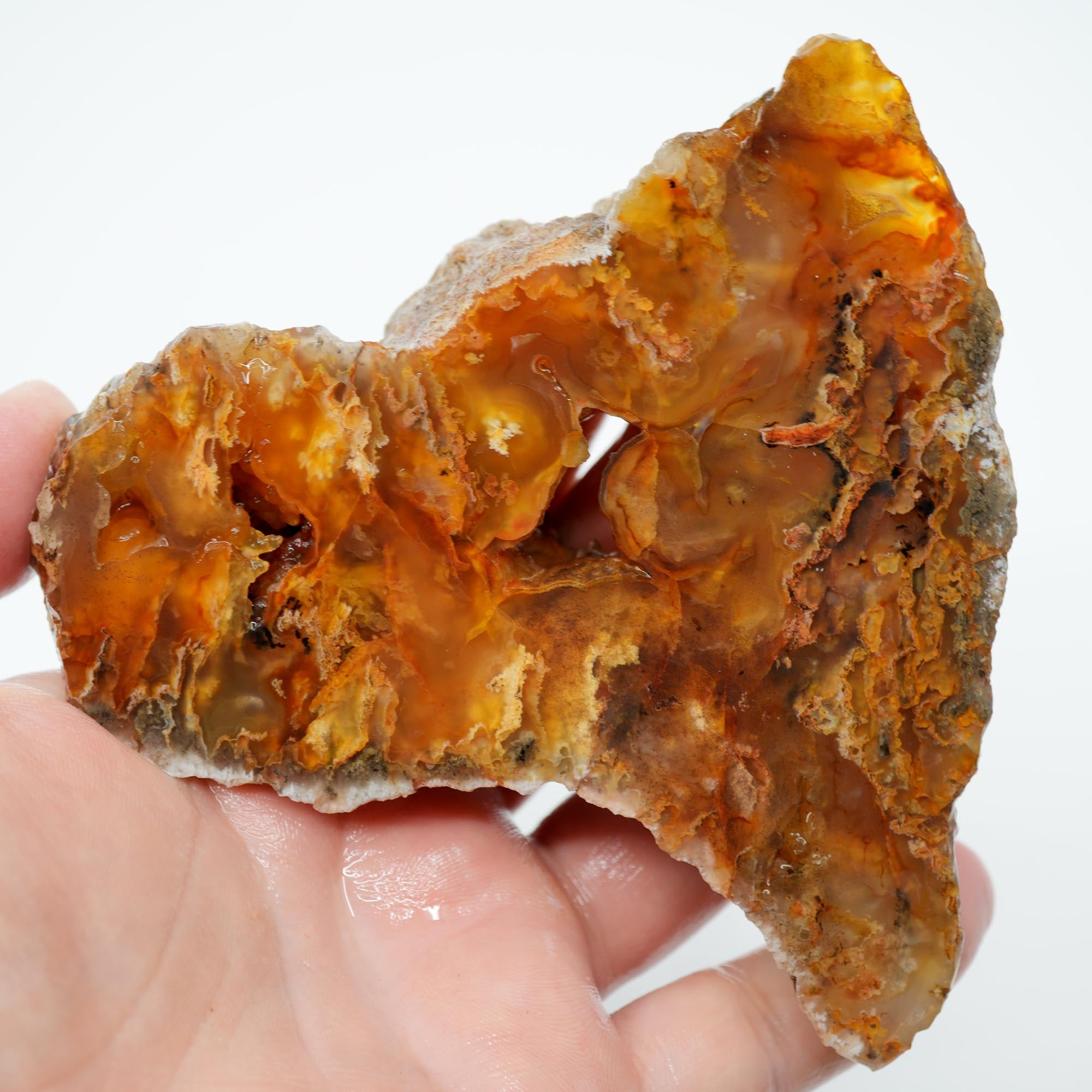 Graveyard Point Plume Agate Endcut - Carnelian Wavy Cloud Plume