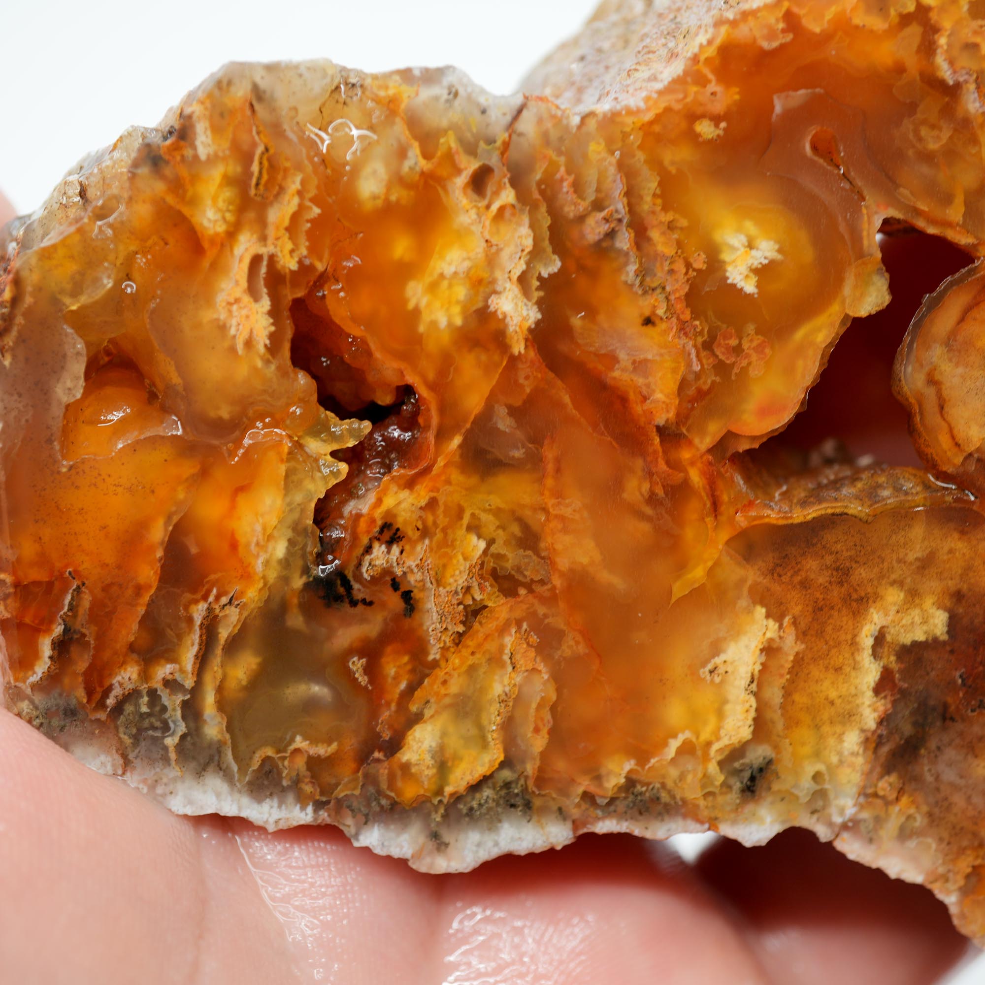 Graveyard Point Plume Agate Endcut - Carnelian Wavy Cloud Plume