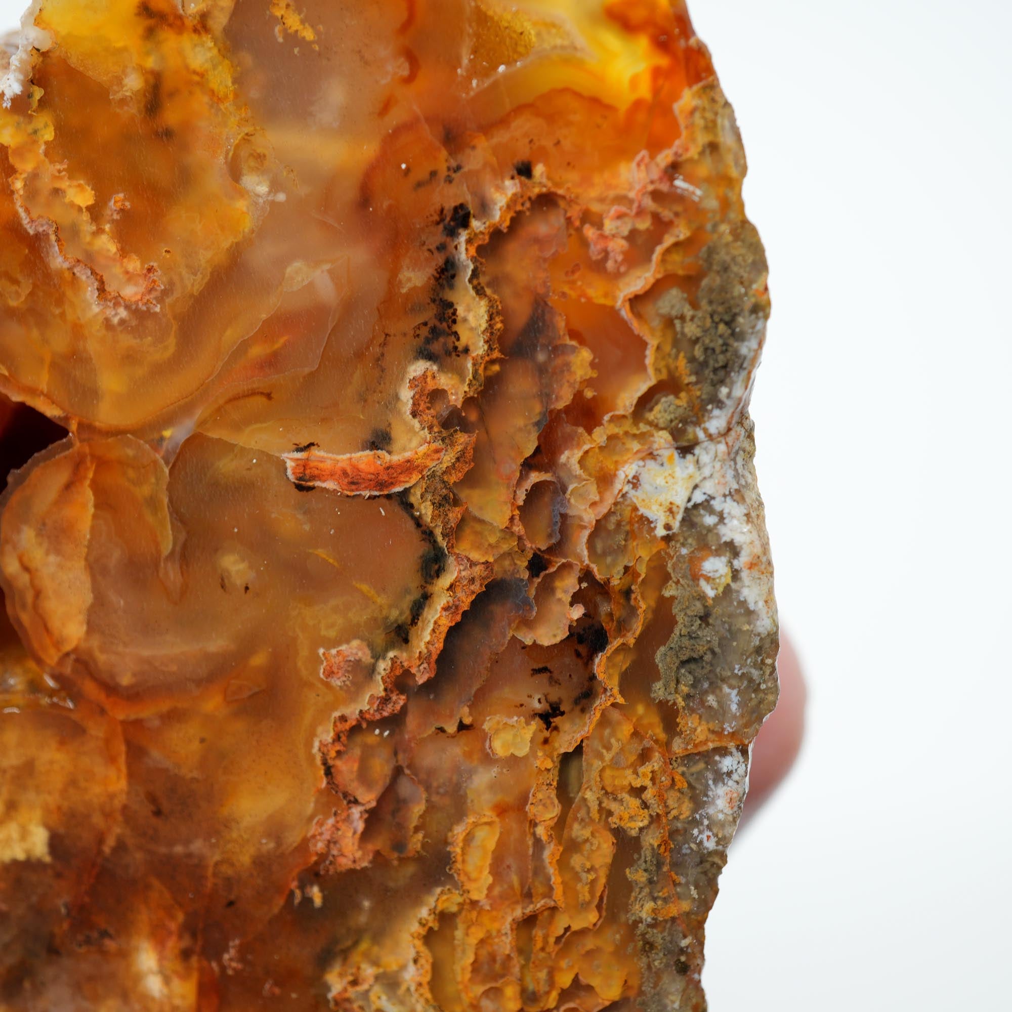 Graveyard Point Plume Agate Endcut - Carnelian Wavy Cloud Plume