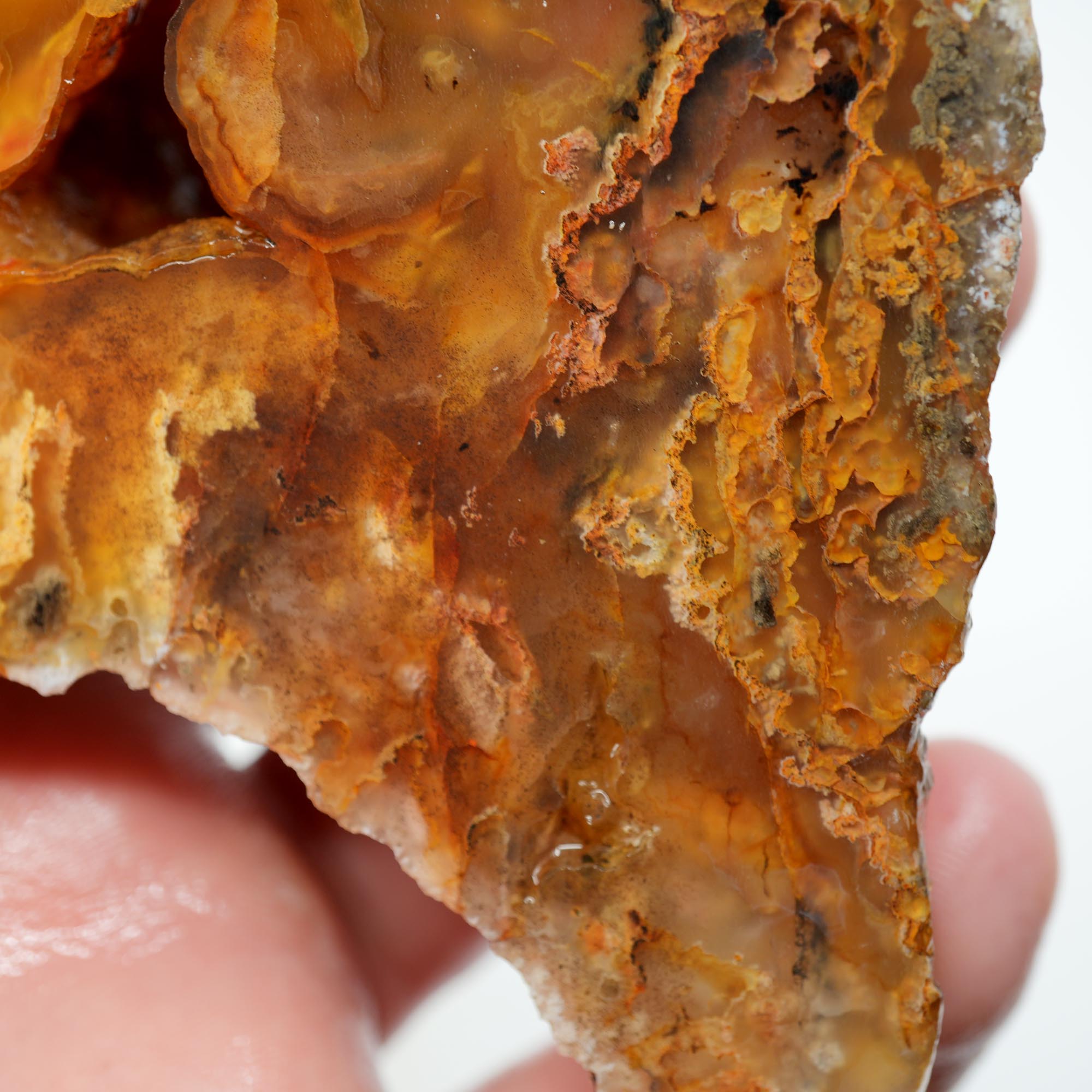 Graveyard Point Plume Agate Endcut - Carnelian Wavy Cloud Plume