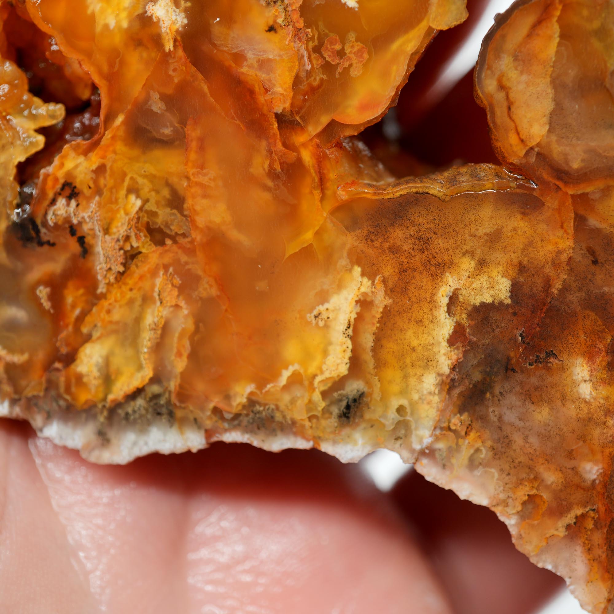 Graveyard Point Plume Agate Endcut - Carnelian Wavy Cloud Plume