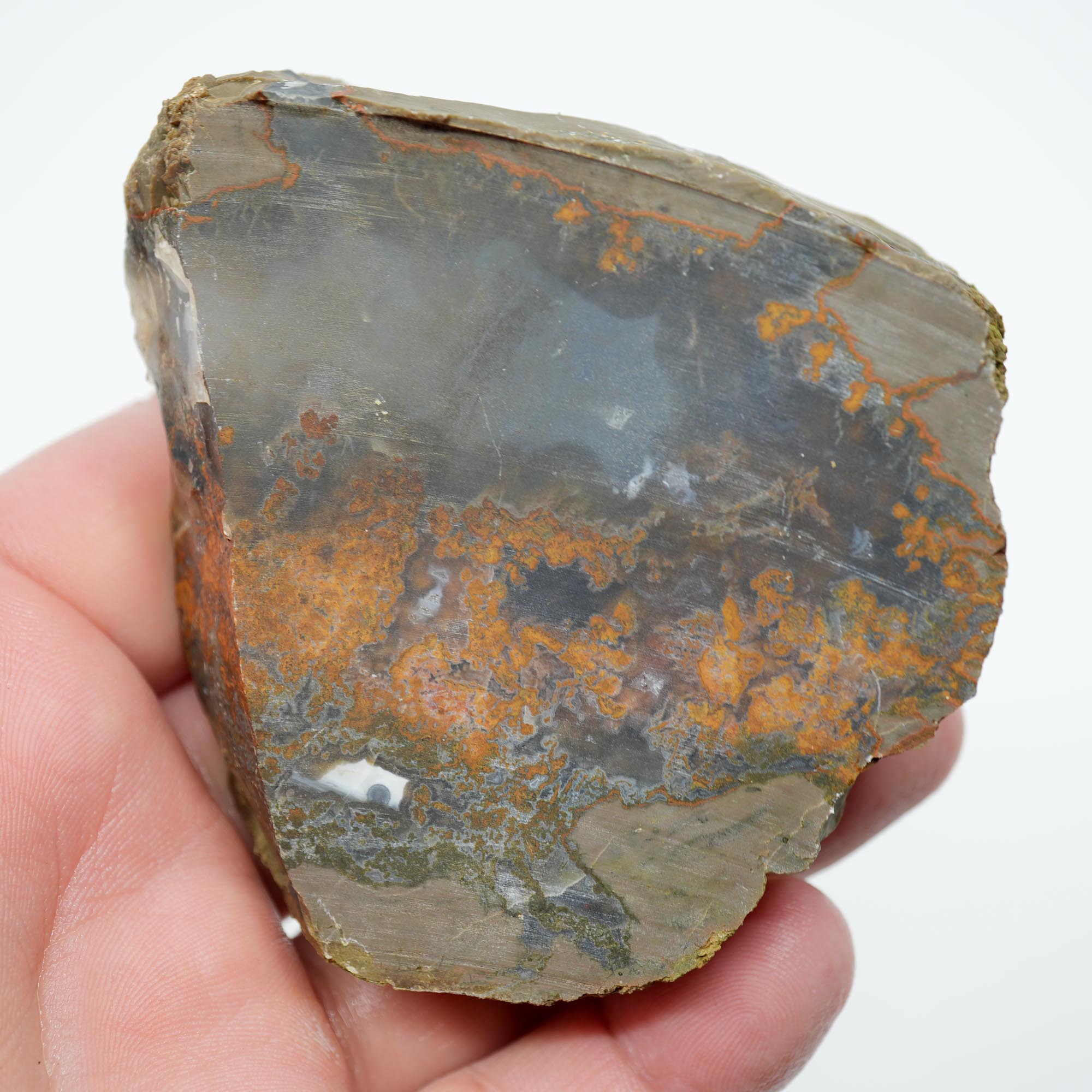 Old Stock Priday Moss Bed Thunderegg - Golden Moss Agate Skies