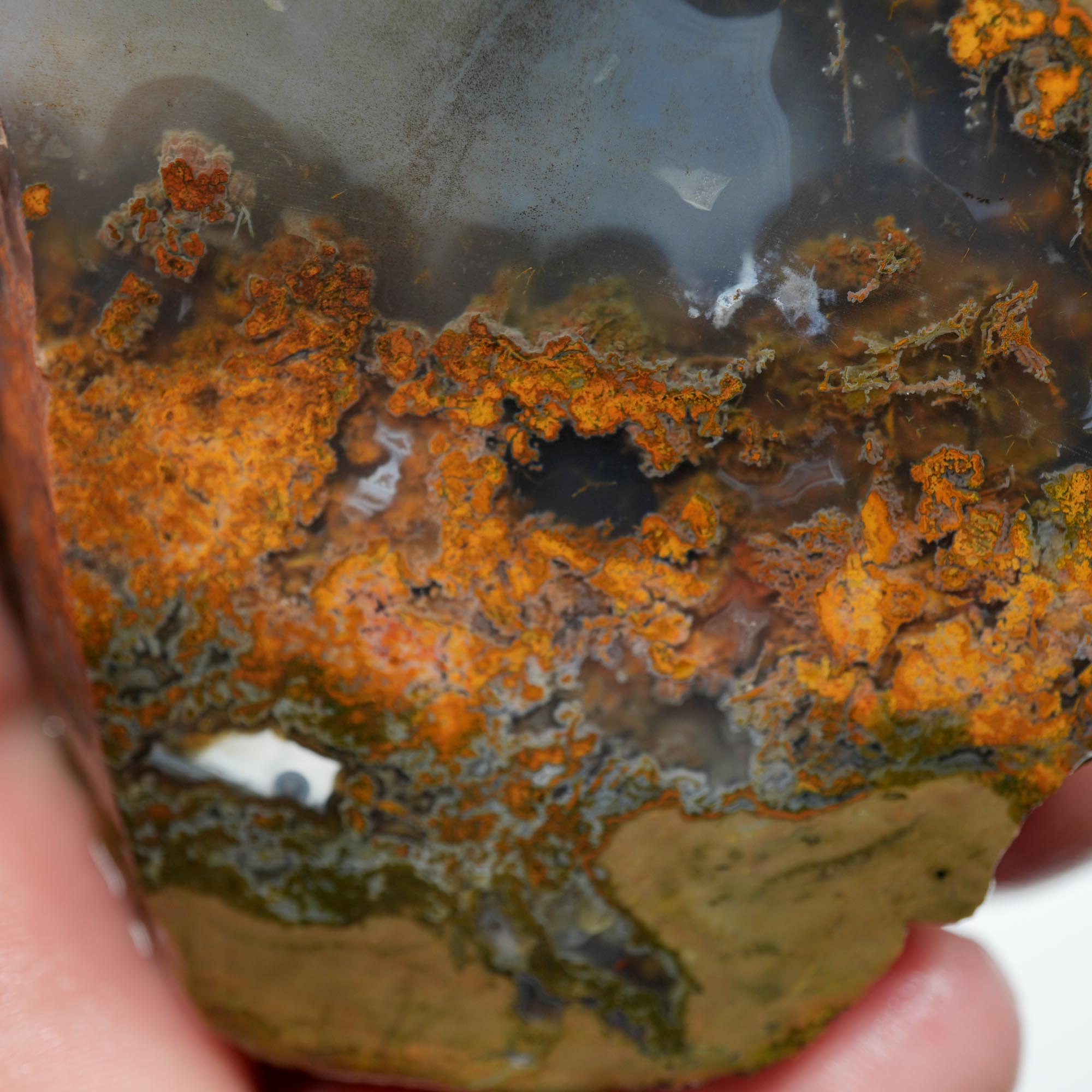 Old Stock Priday Moss Bed Thunderegg - Golden Moss Agate Skies