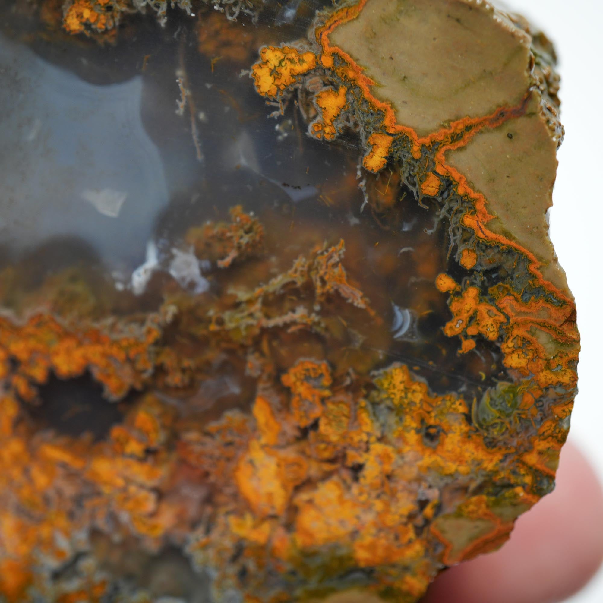 Old Stock Priday Moss Bed Thunderegg - Golden Moss Agate Skies