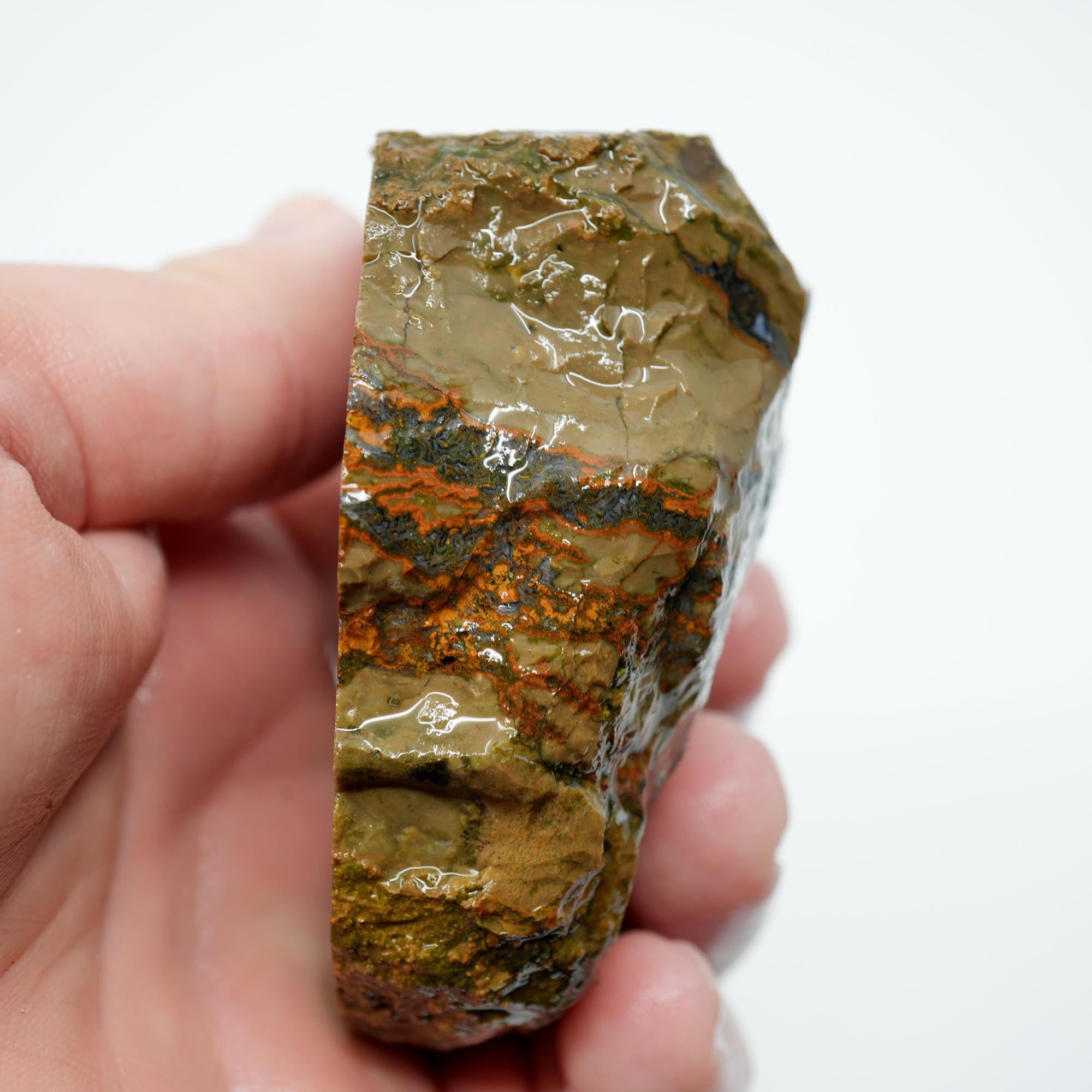 Old Stock Priday Moss Bed Thunderegg - Golden Moss Agate Skies