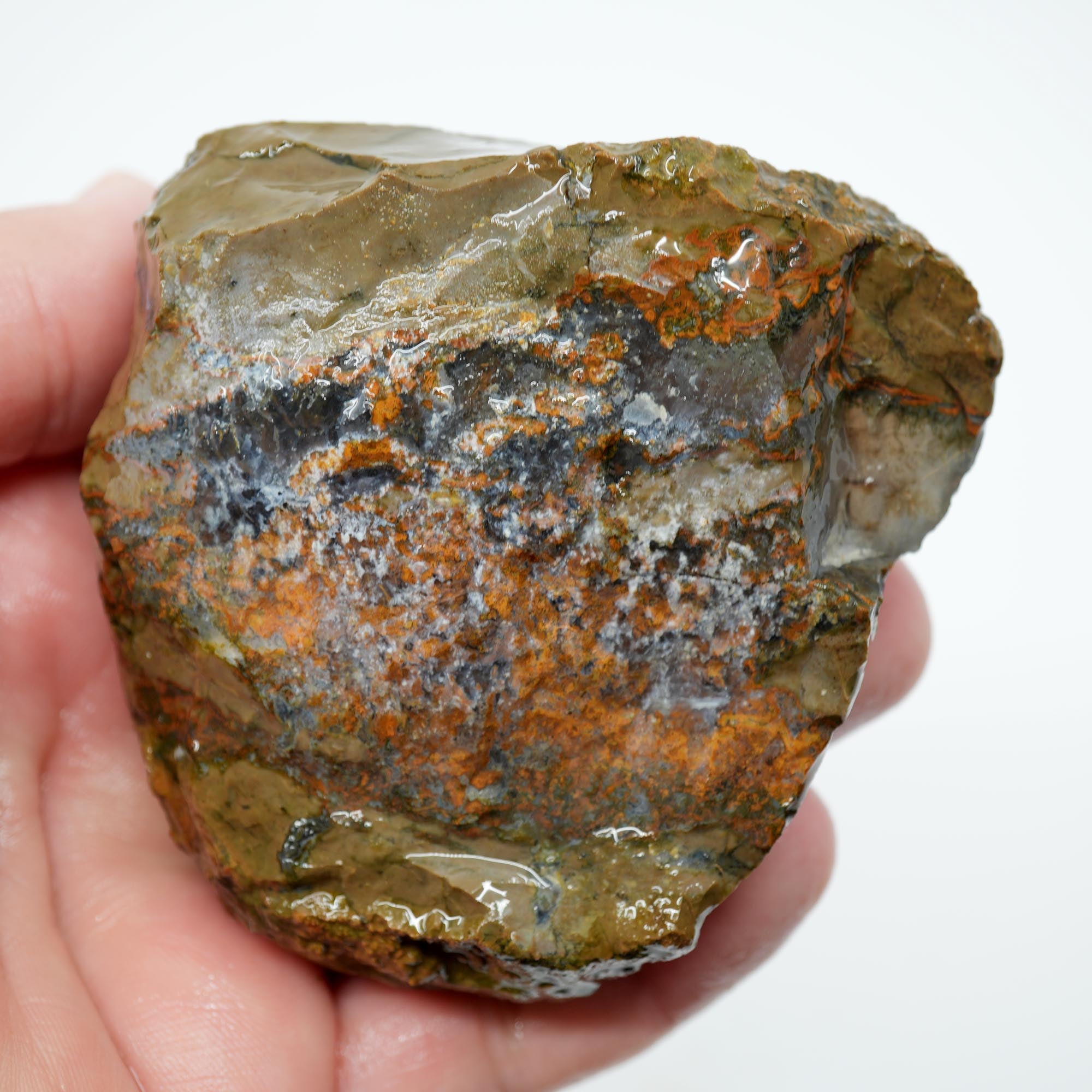 Old Stock Priday Moss Bed Thunderegg - Golden Moss Agate Skies