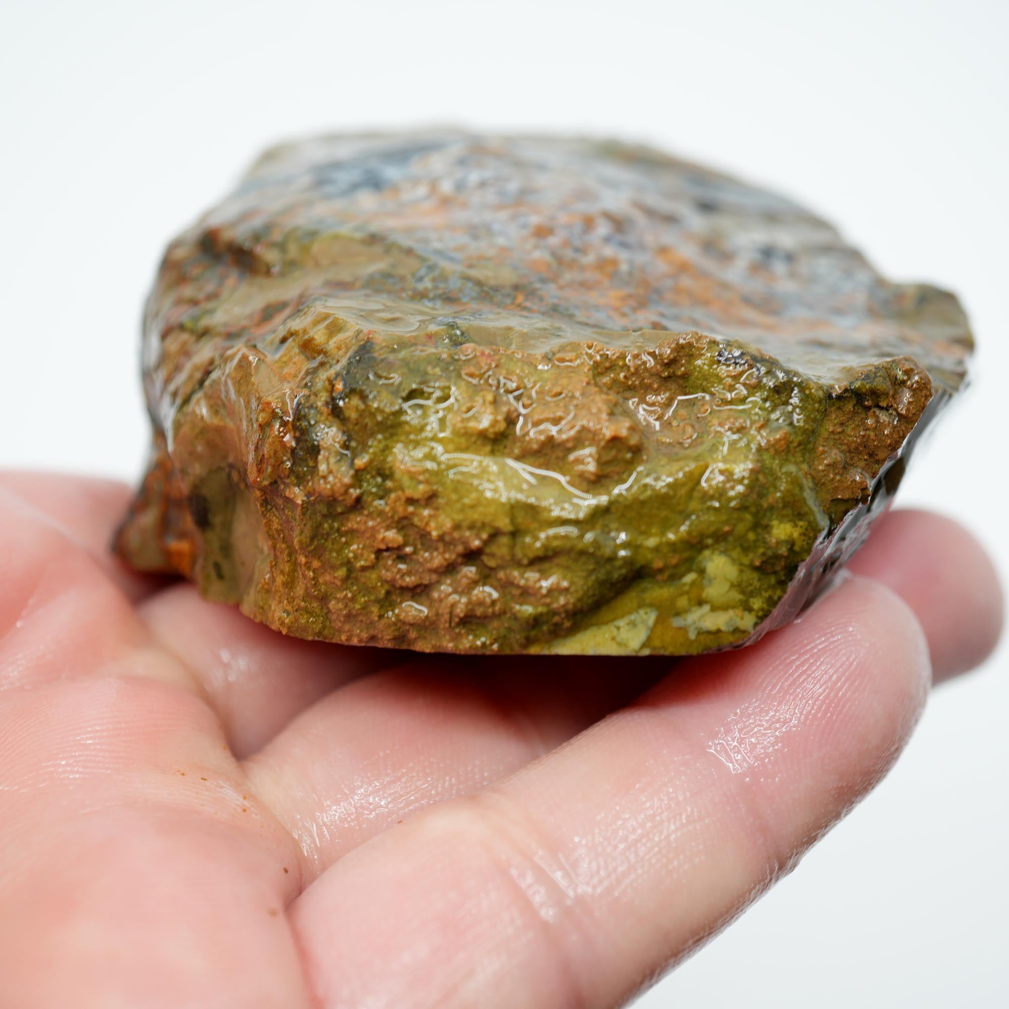 Old Stock Priday Moss Bed Thunderegg - Golden Moss Agate Skies