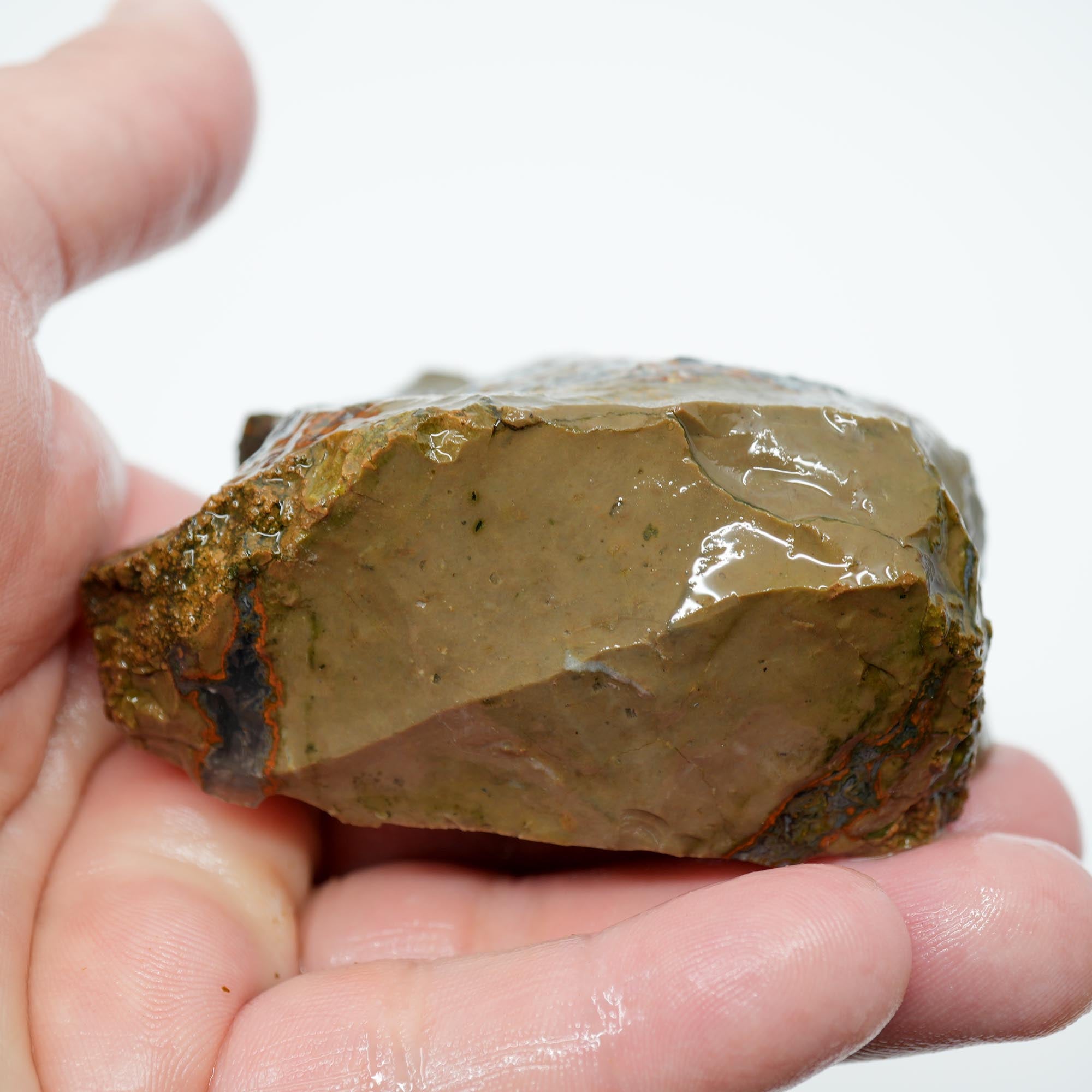 Old Stock Priday Moss Bed Thunderegg - Golden Moss Agate Skies