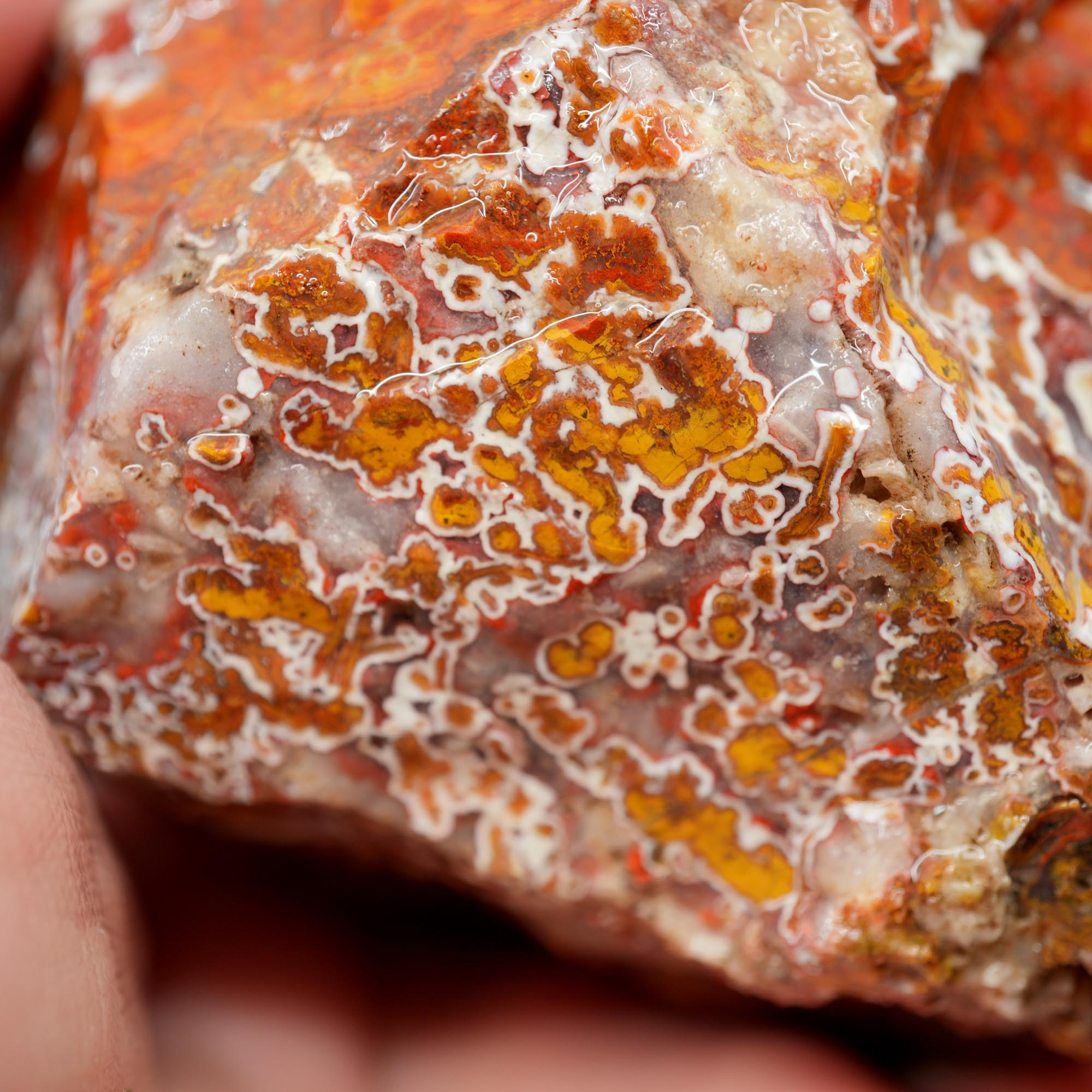 Apple Valley Agate Rough - Christmas Red Tube Pseudomorph