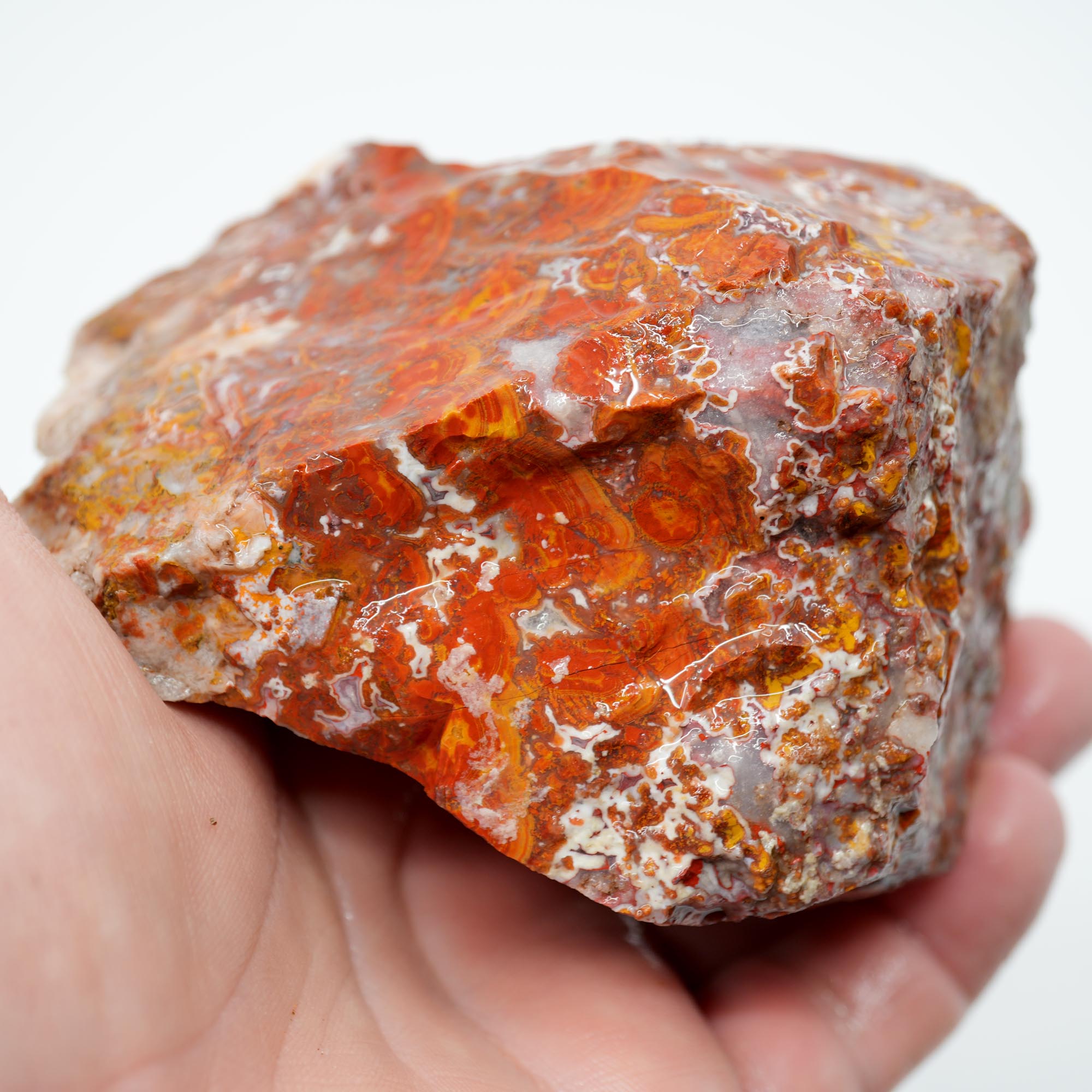 Apple Valley Agate Rough - Christmas Red Tube Pseudomorph