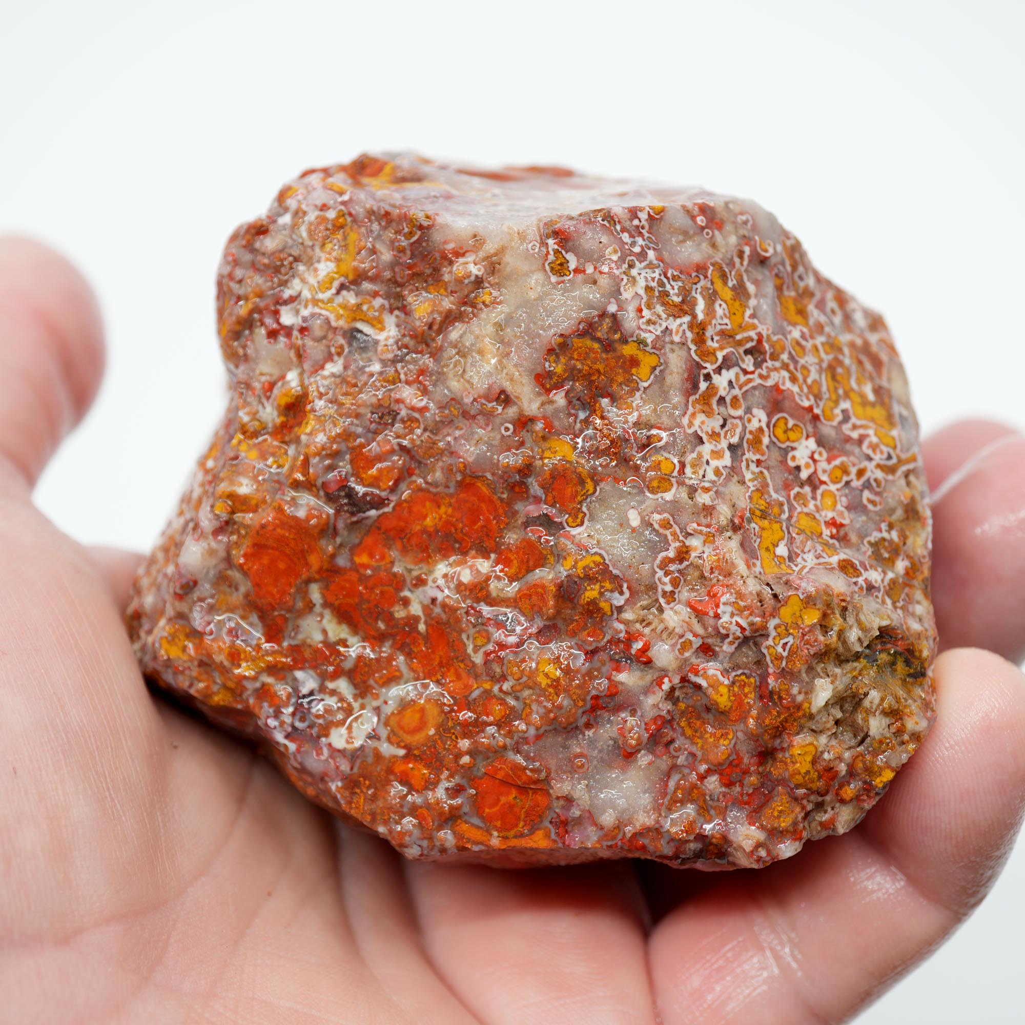 Apple Valley Agate Rough - Christmas Red Tube Pseudomorph